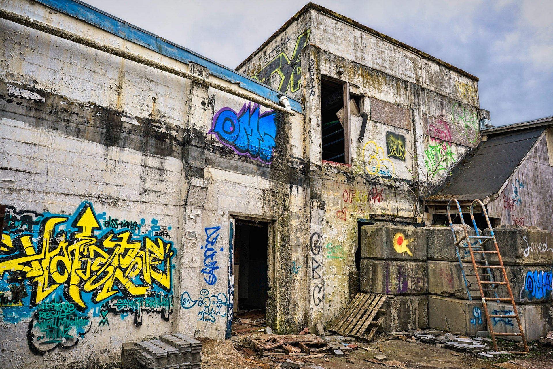 Outside Monroe, WA  3/2019