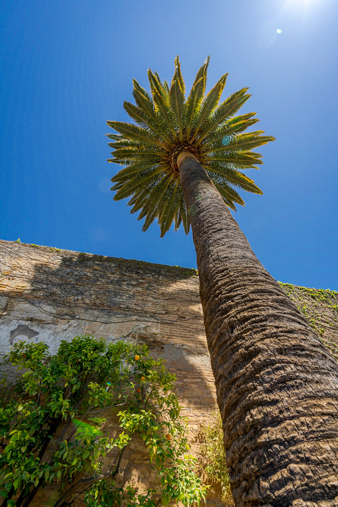 Alhambra, Granada Spain, April2023