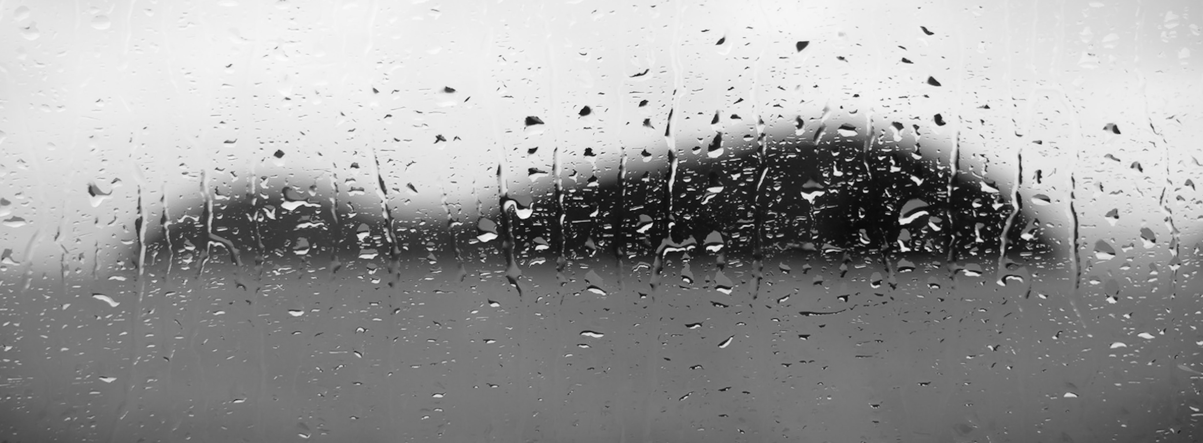 Ferry to or from Orcas Is.