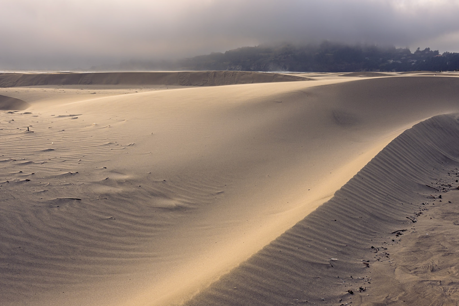 OregonCoast July2026