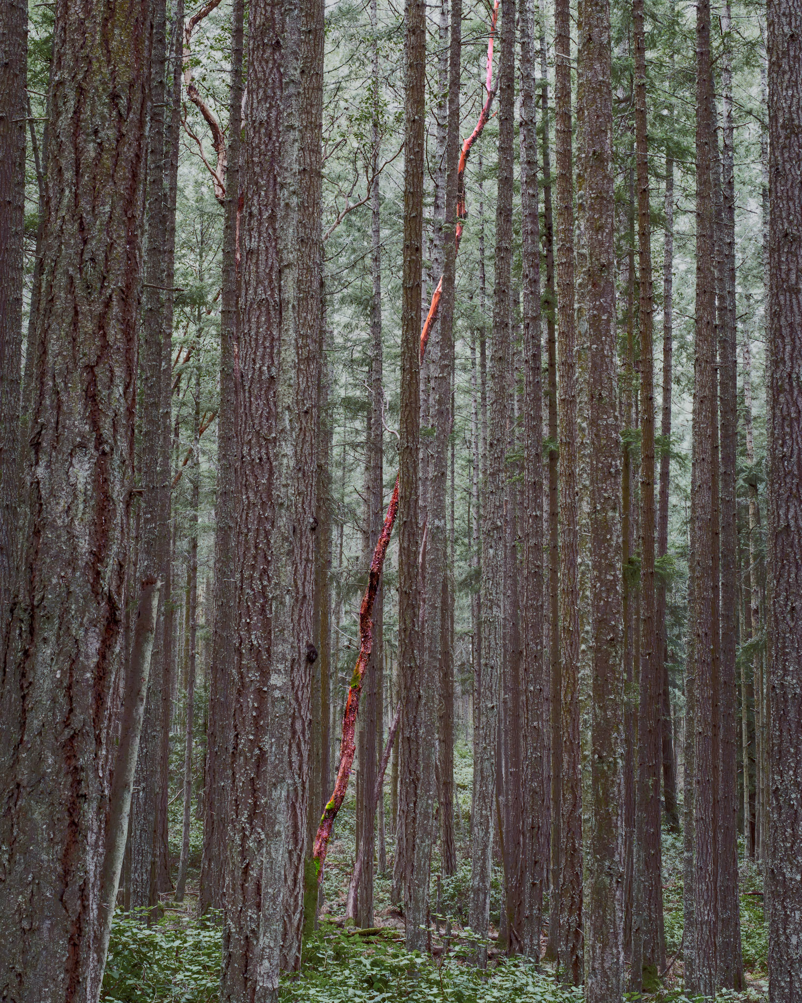 SanJuanIsland Feb2024