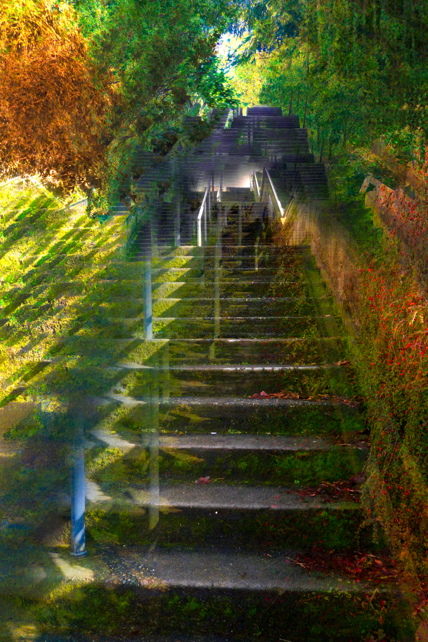 QueenAnneHillSeattle Feb2024