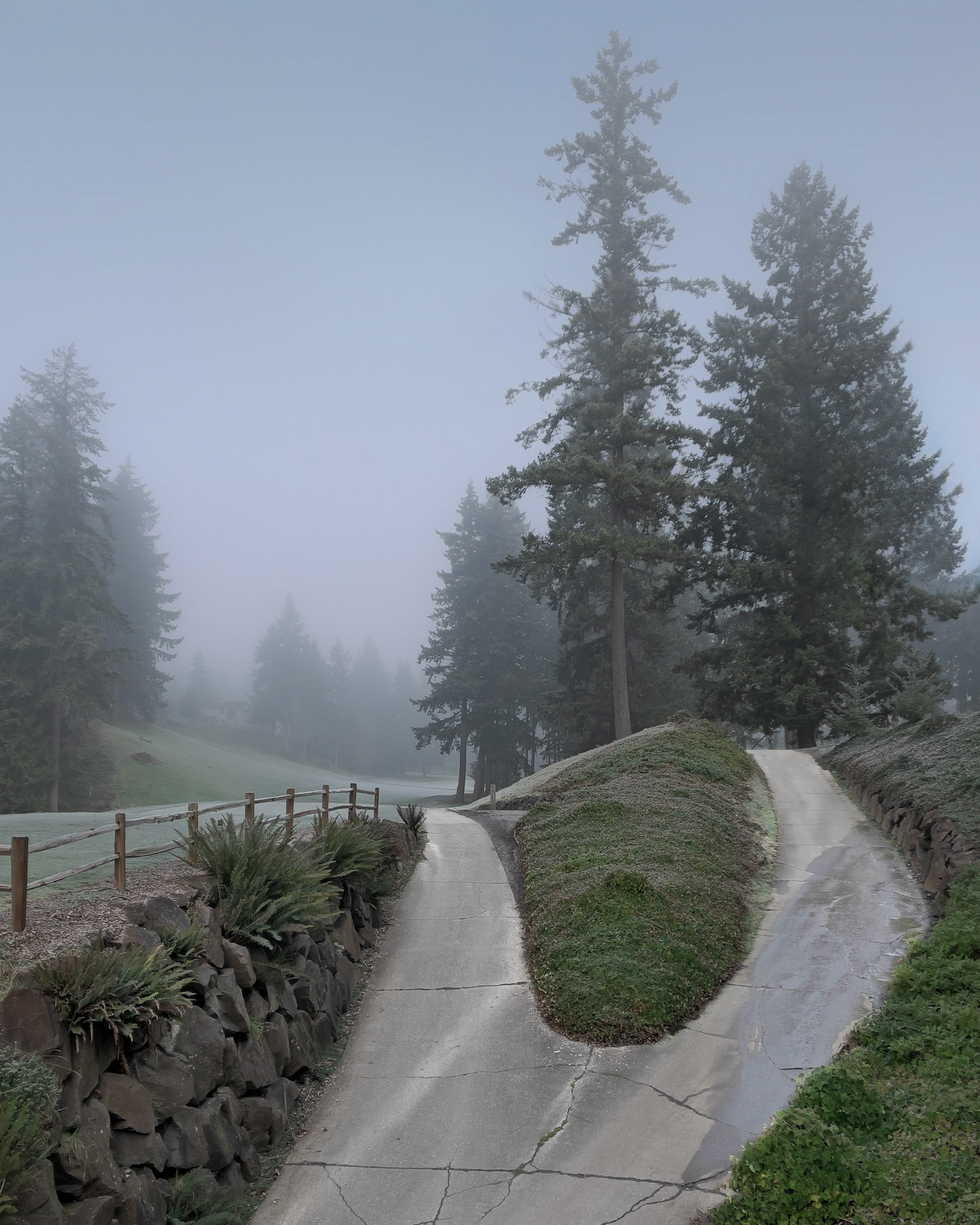 Mill Creek Golf Course, Jan 2021