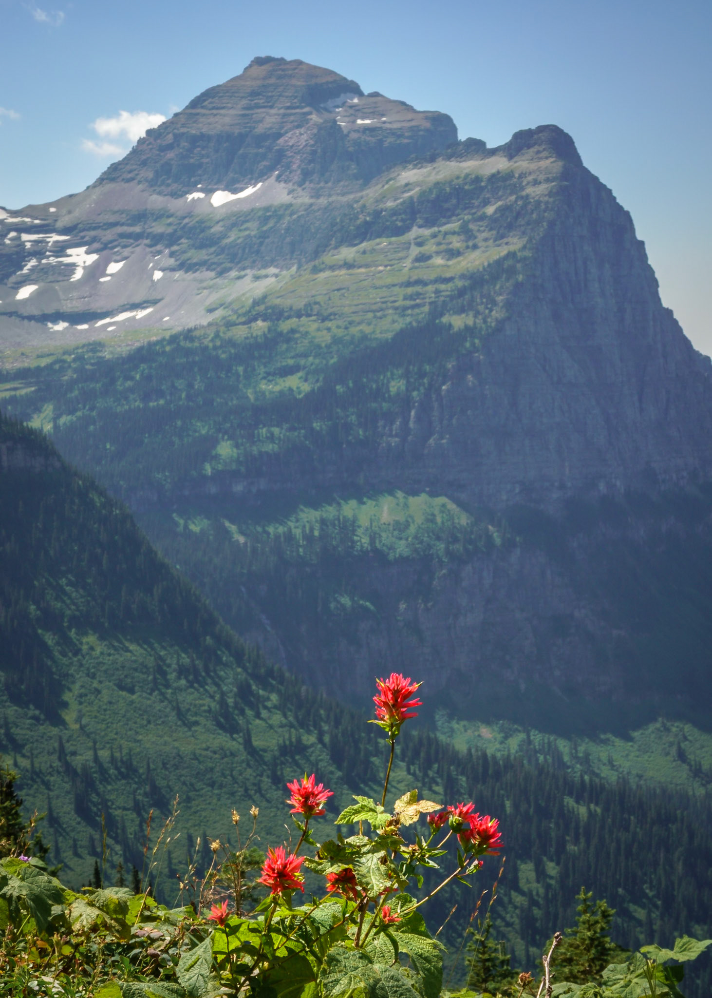 HighlineTrail GlacierNP