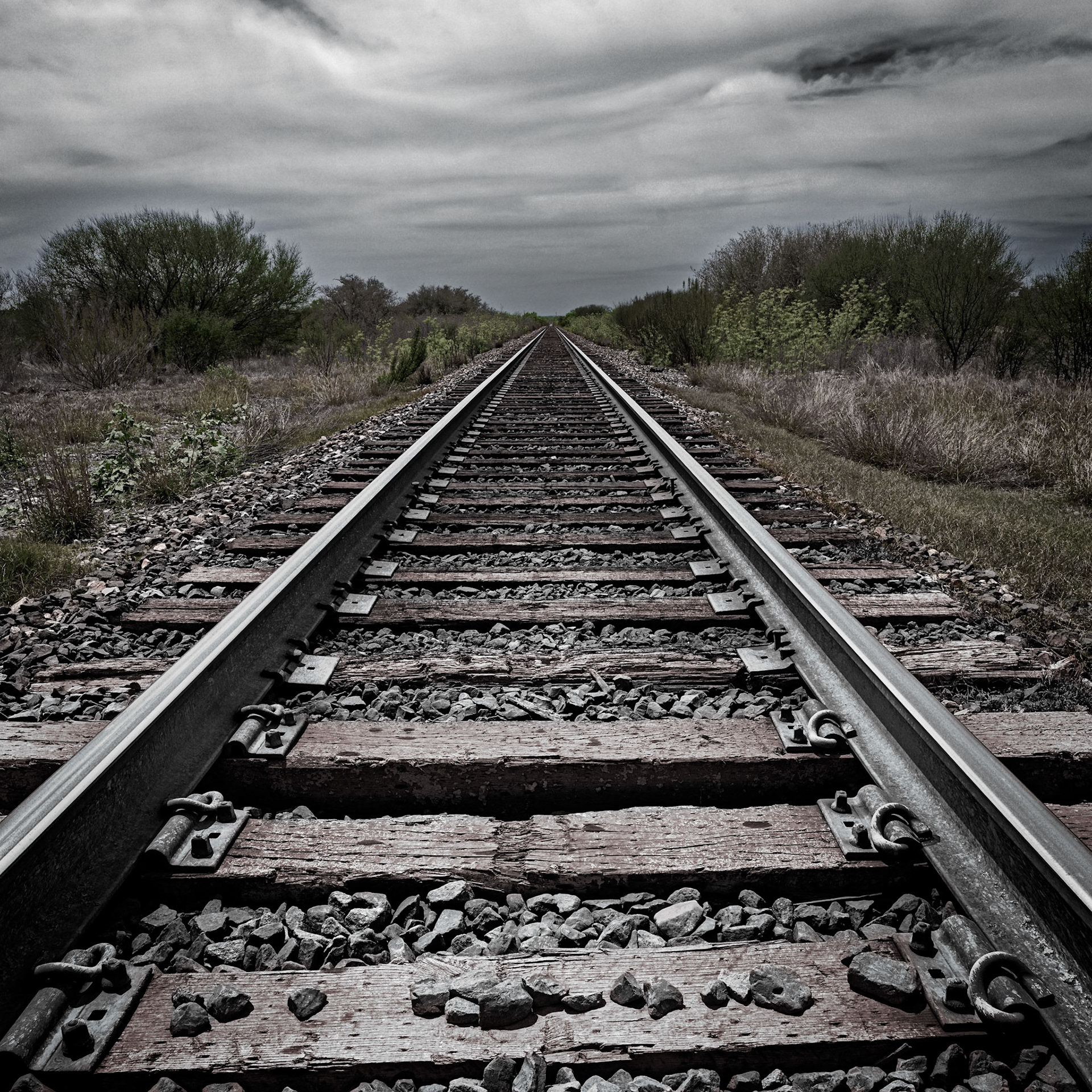 South Texas, April 2024