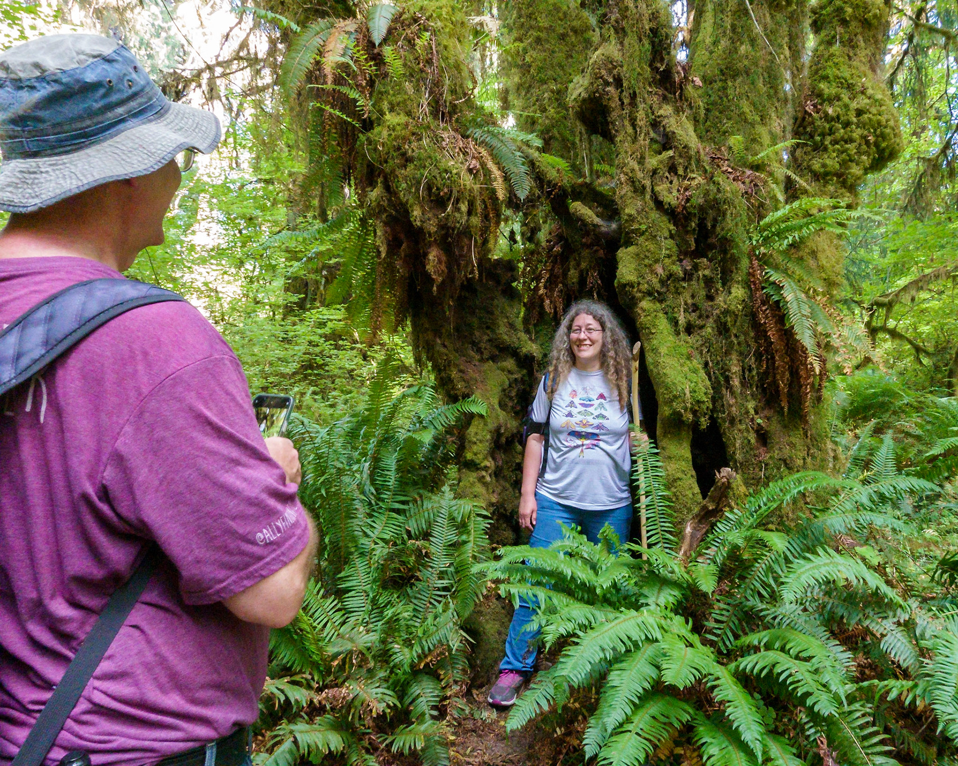 Hoh Rainforest