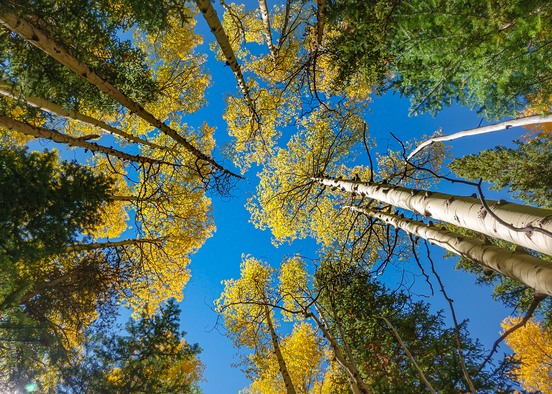 Poudre River Canyon, CO Sep2022