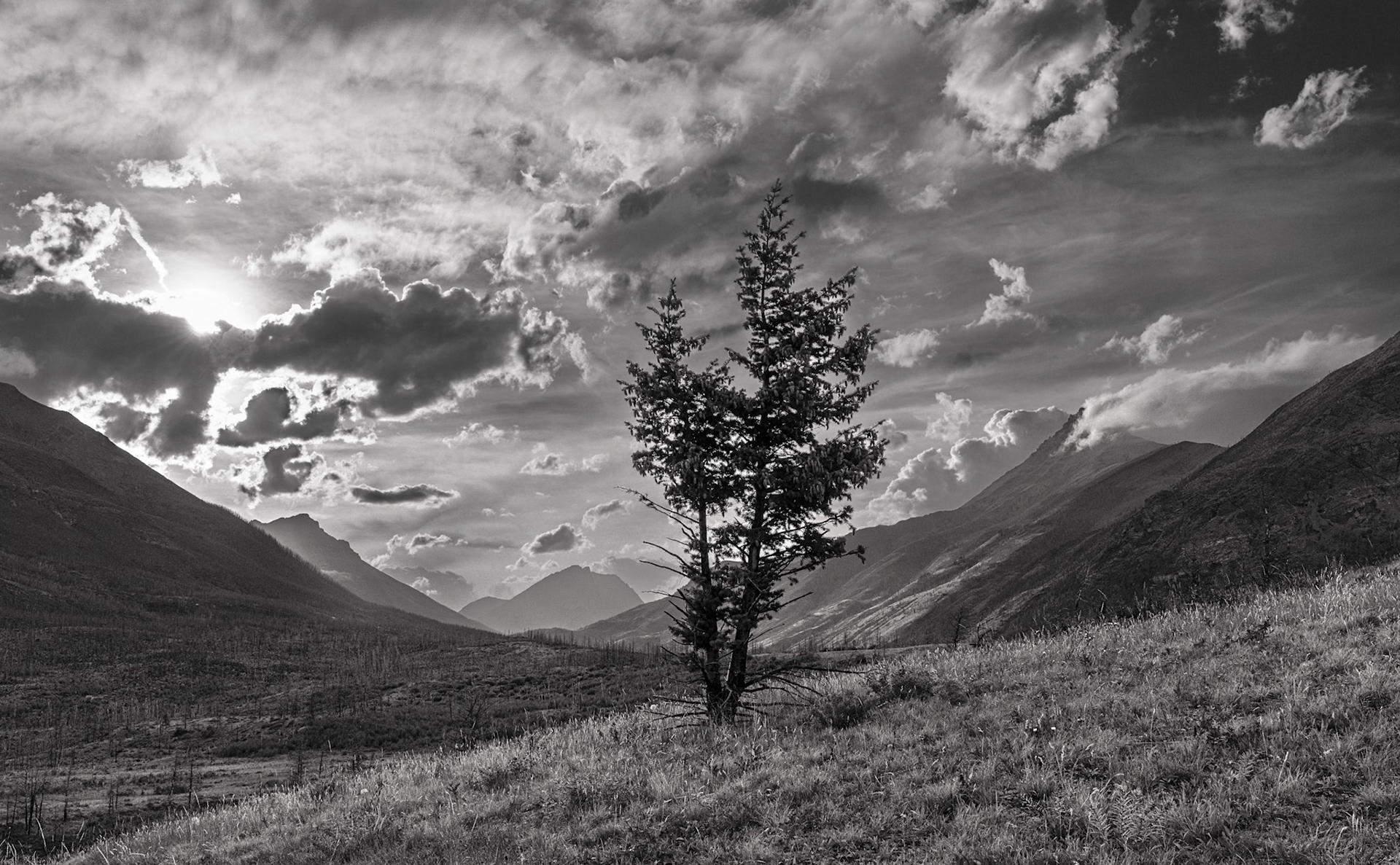 Waterton N.P. Aug2025