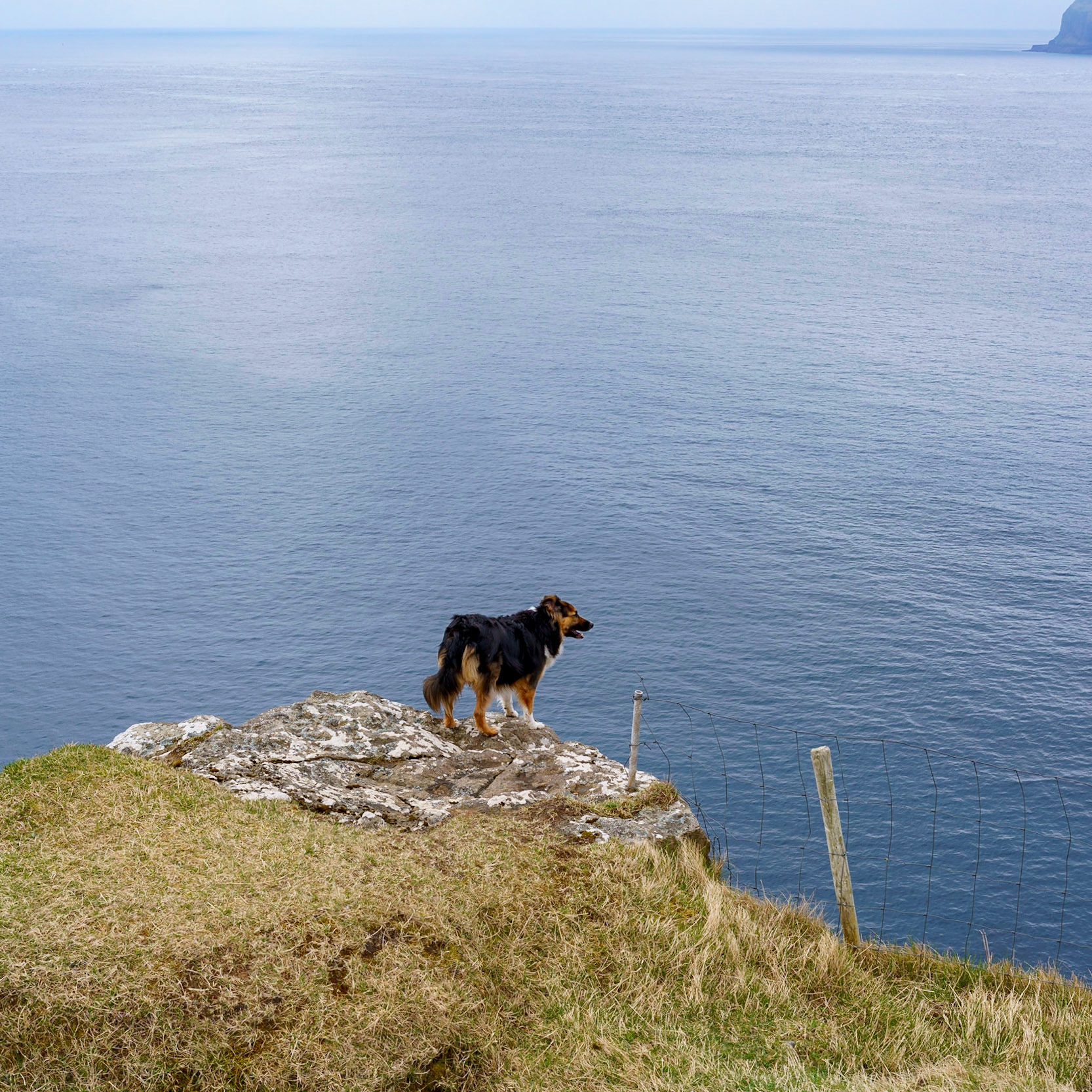 My Best Friend for an Hour