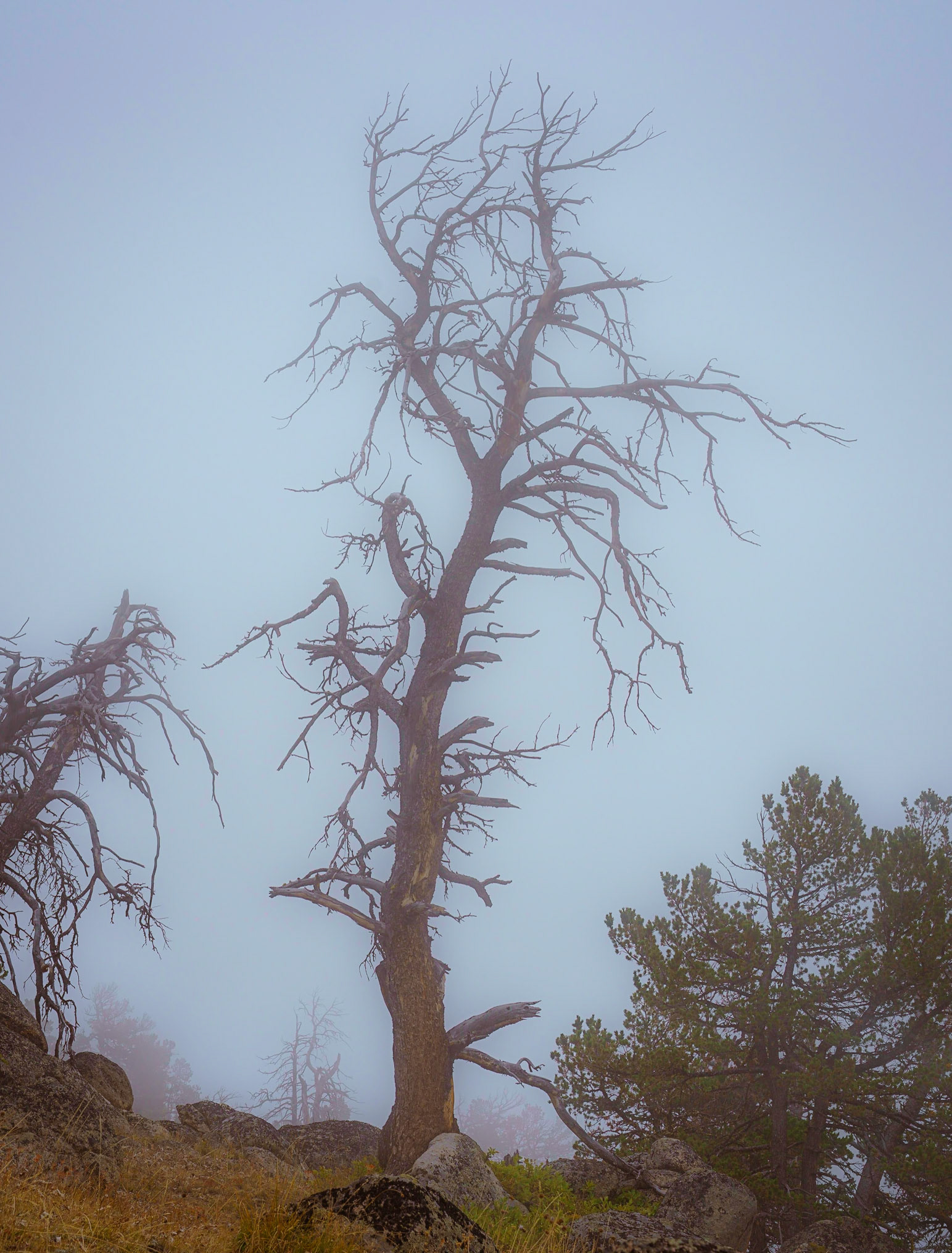 Bighorn Mtns, Sep 2022