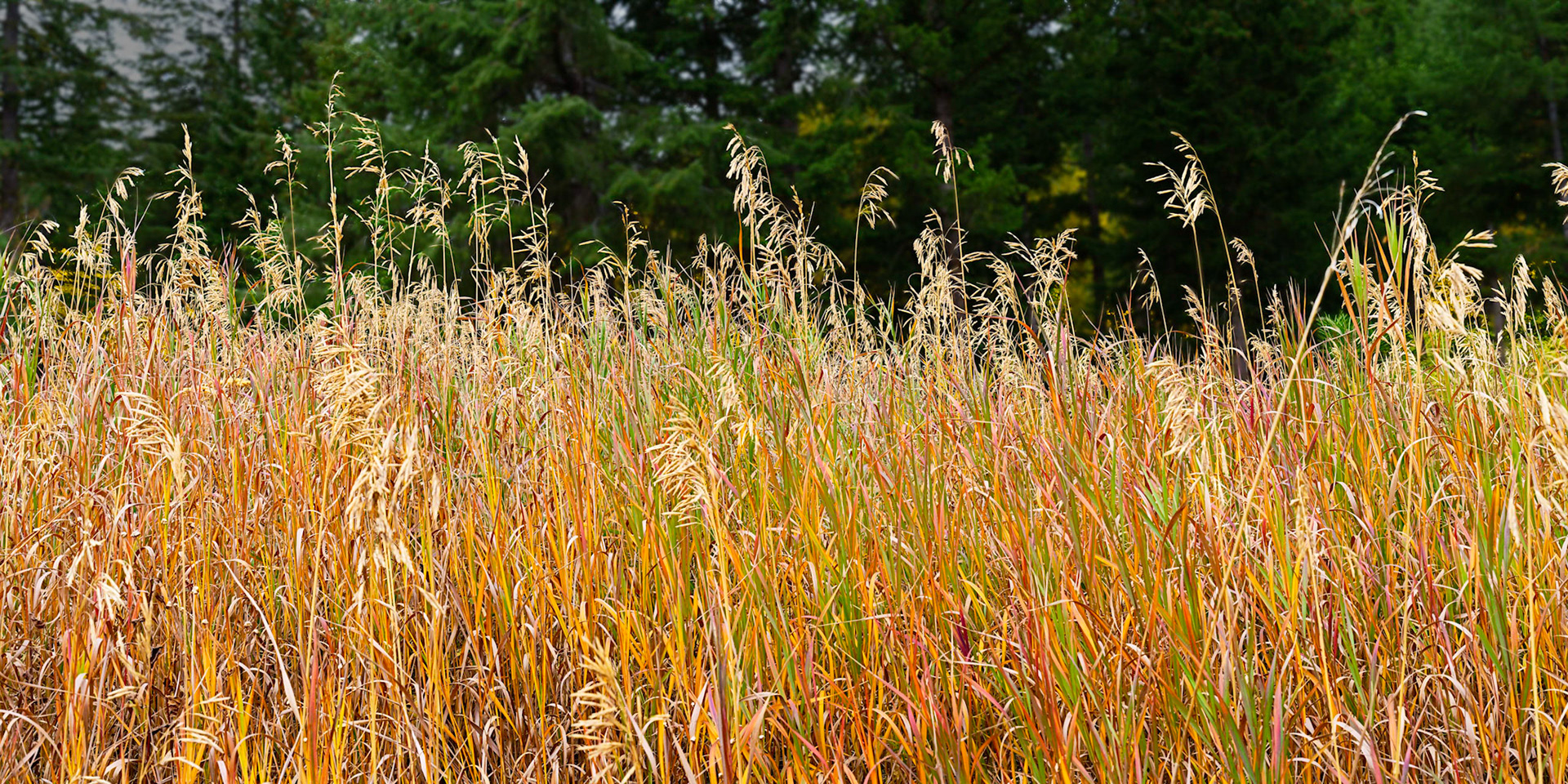 Roundezvous, Oct 2021