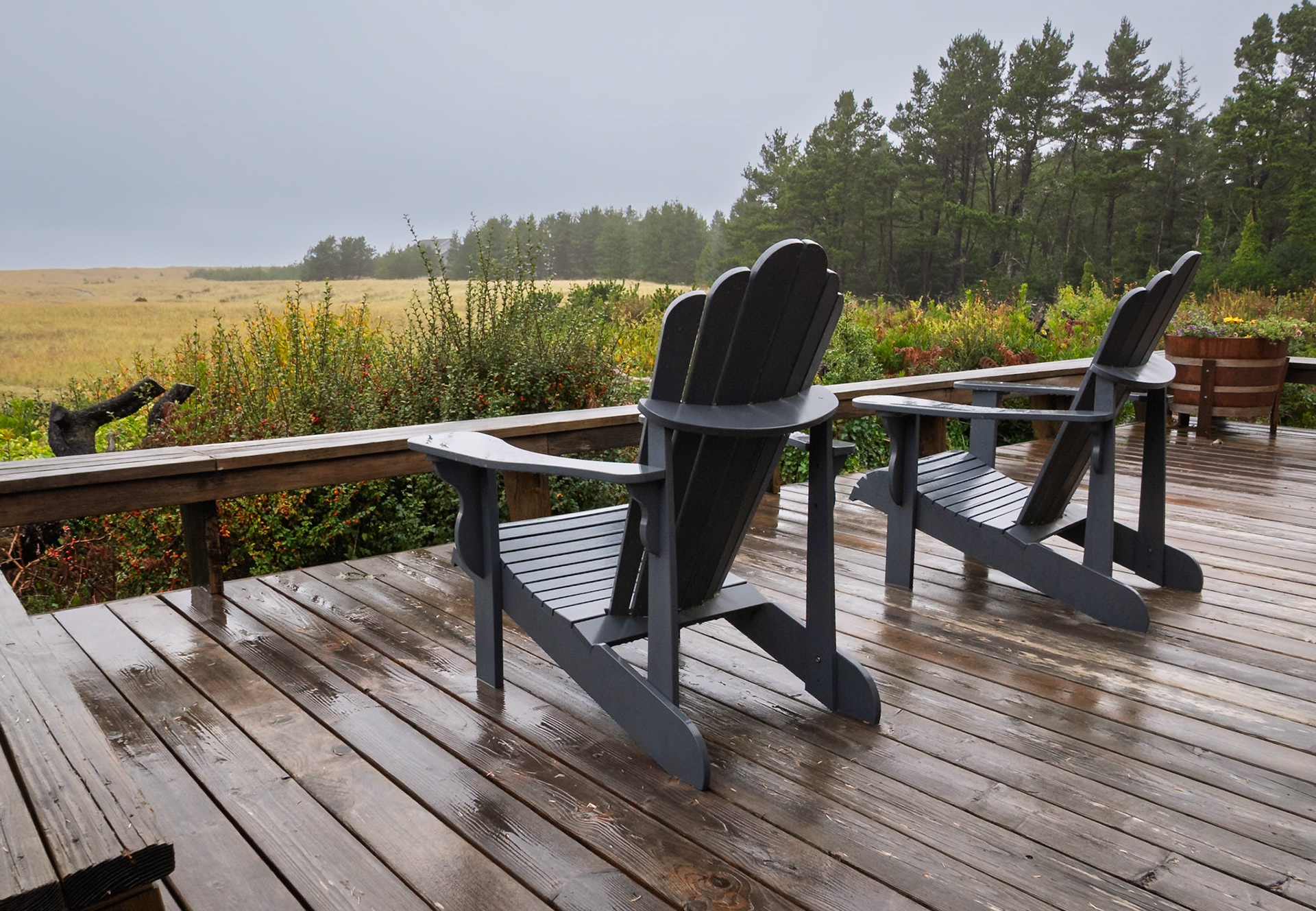 Klipsan Beach Nov2025