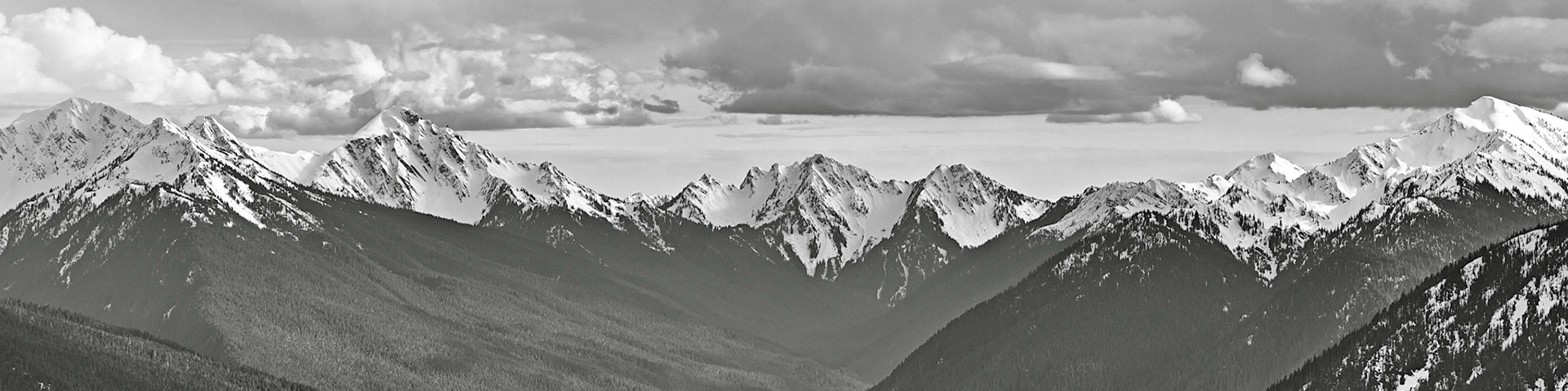 From Hurricane Ridge, 3/2019