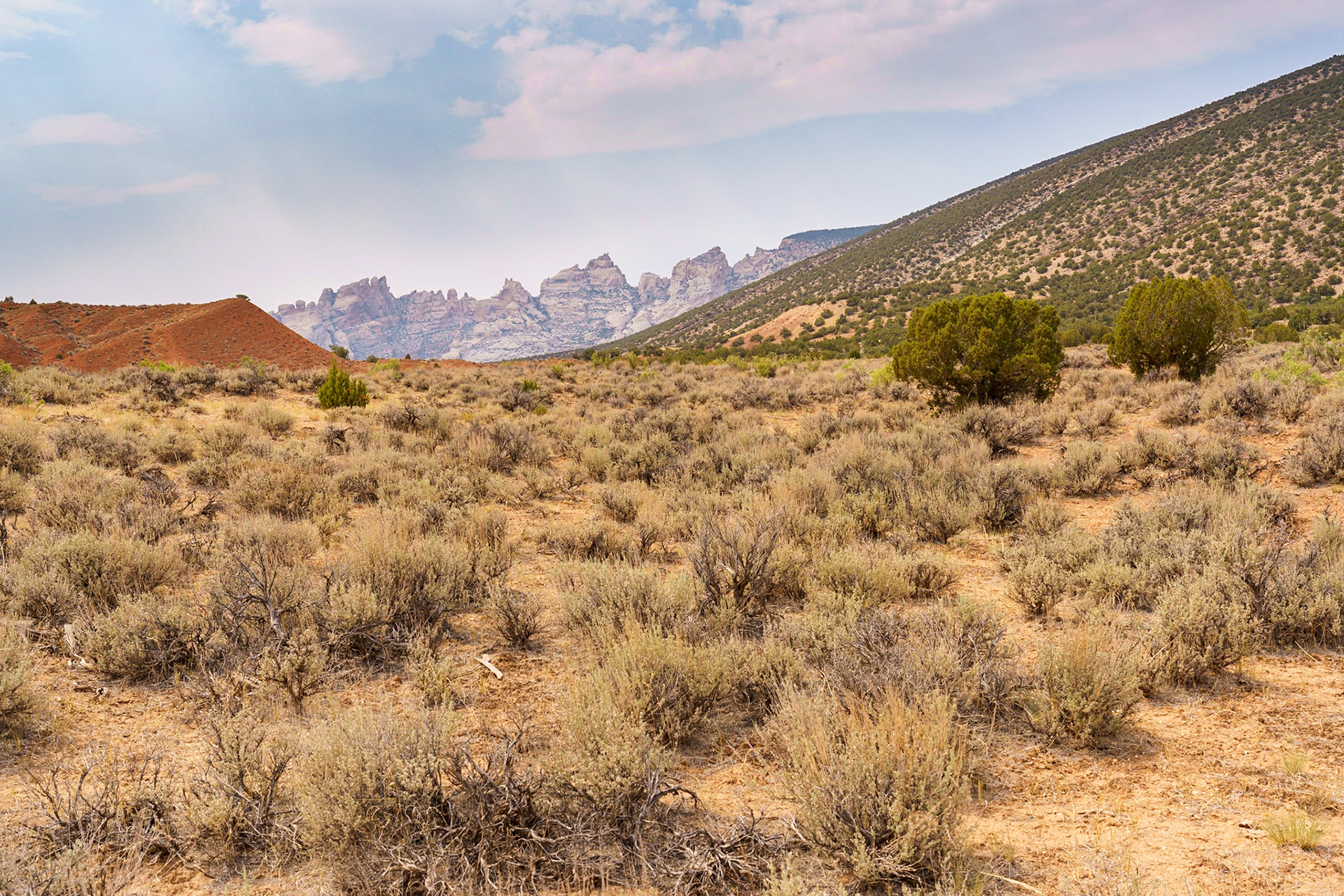 Dinosaur NM, July 2021