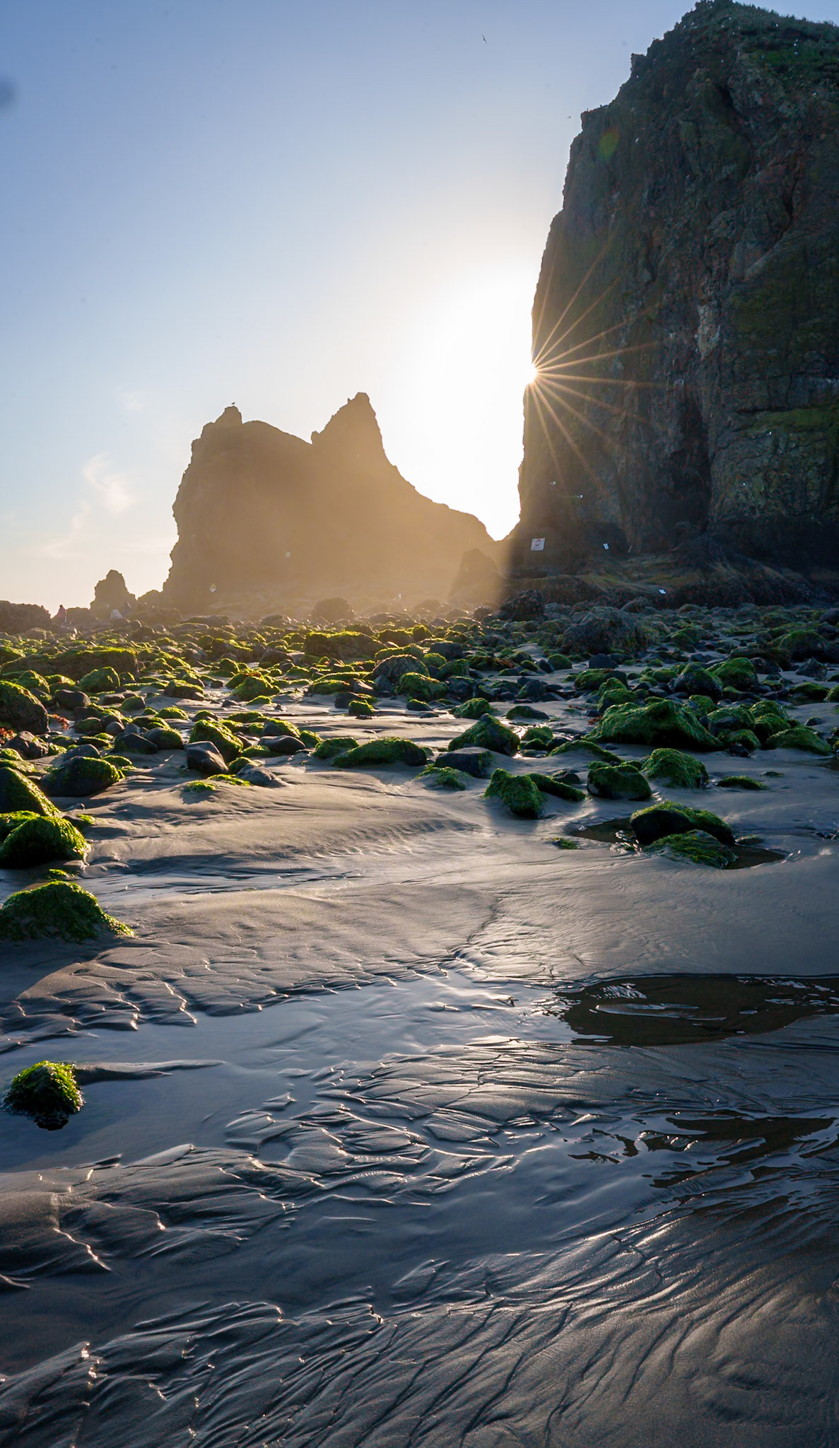 Cannon Beach