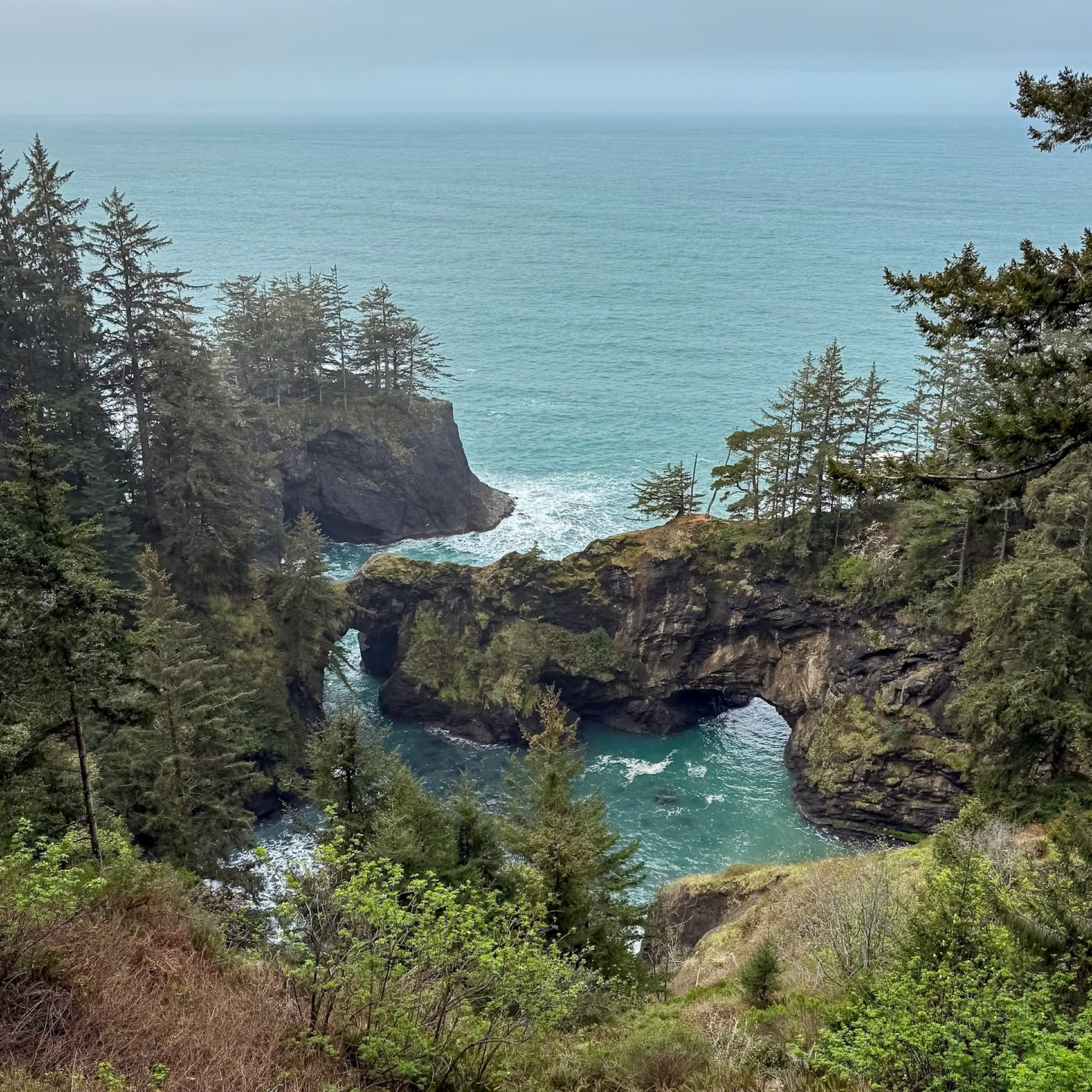 Sam Boardman S.P. OR, April 2025