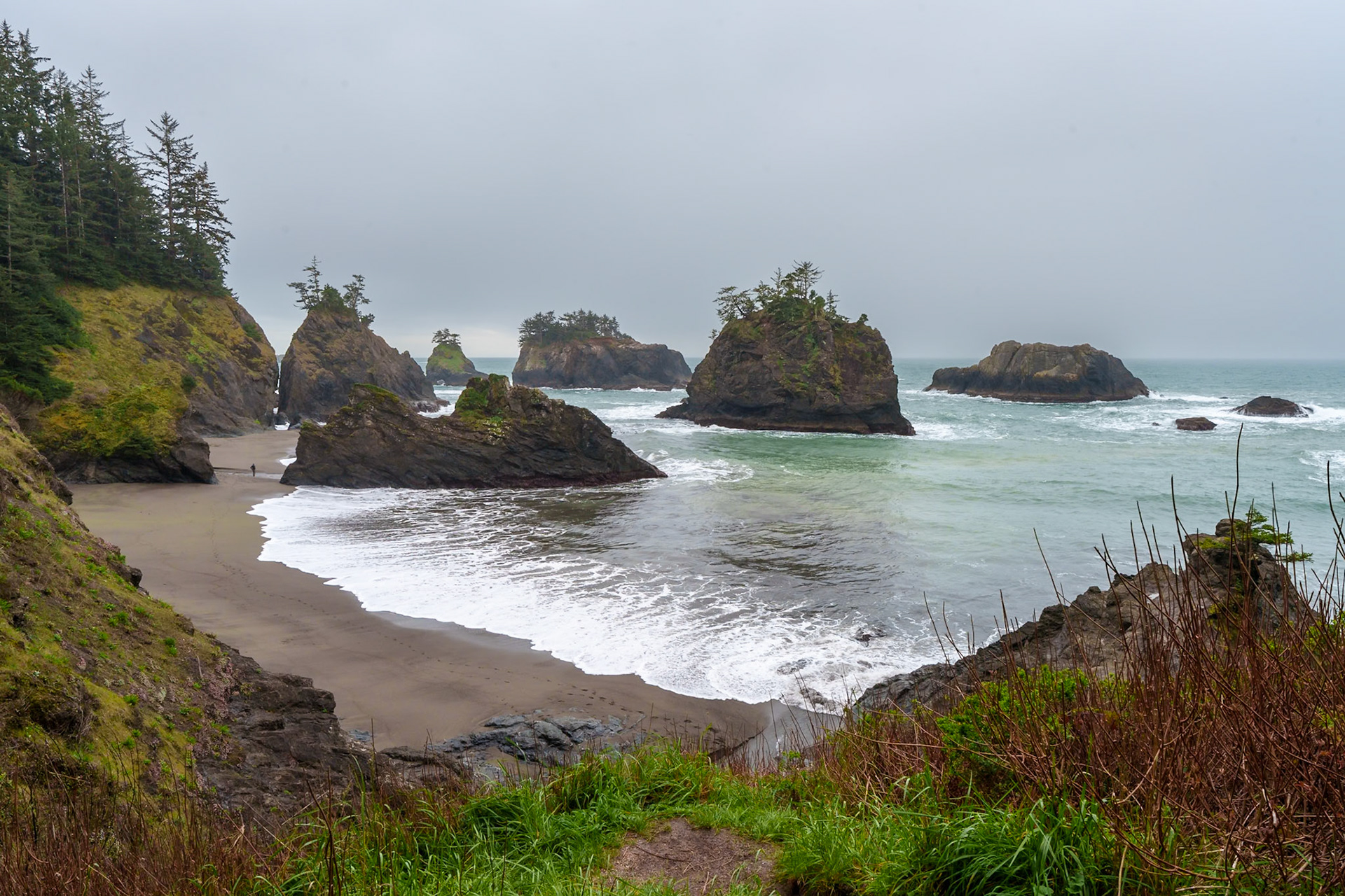 Secret Beach, Boardman S.P. OR, April 2025