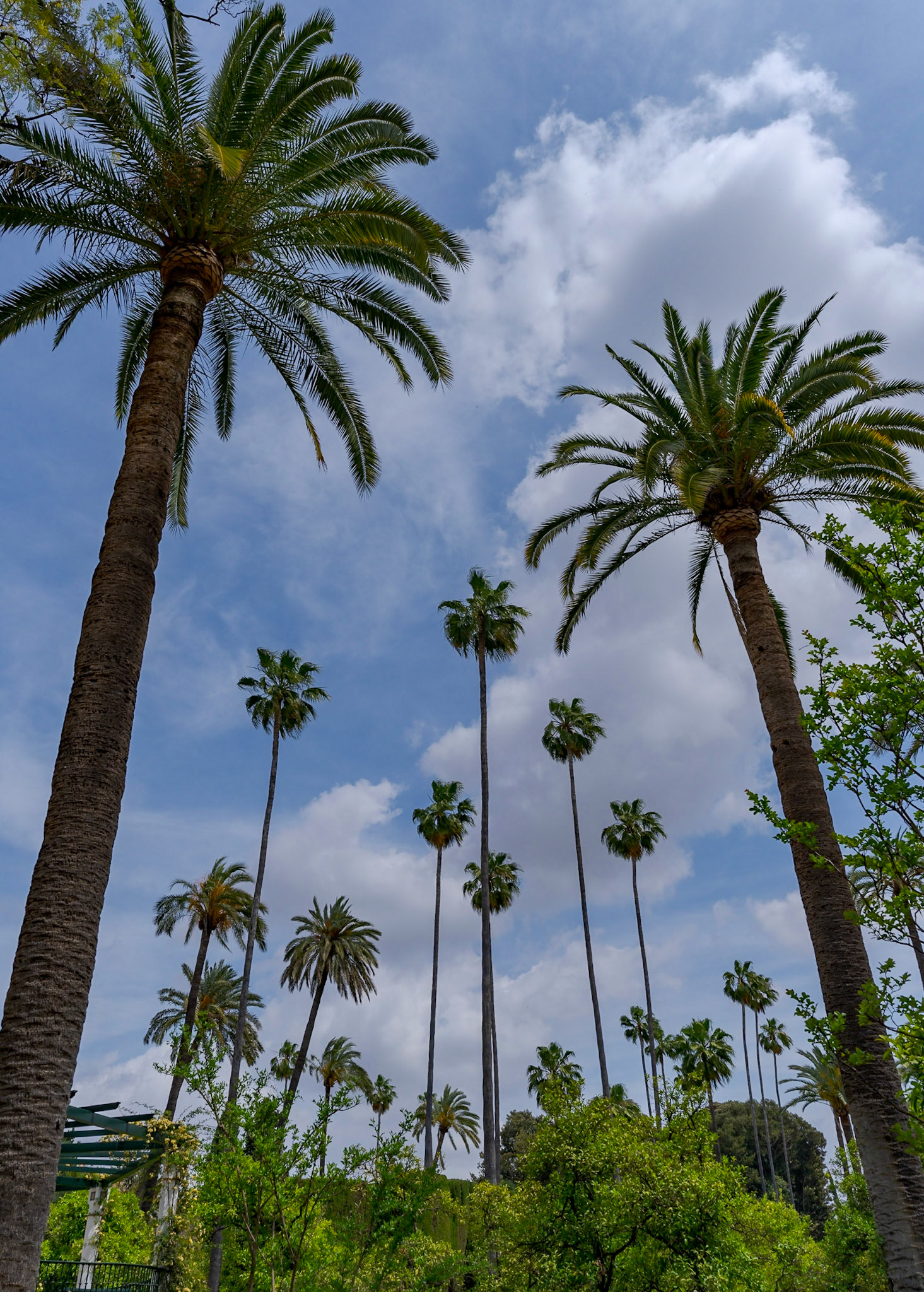 Alcazar, Seville April2023