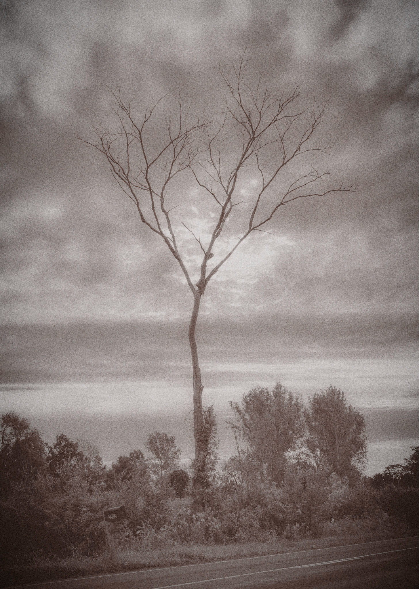 Stockbridge, MI   September, 2019