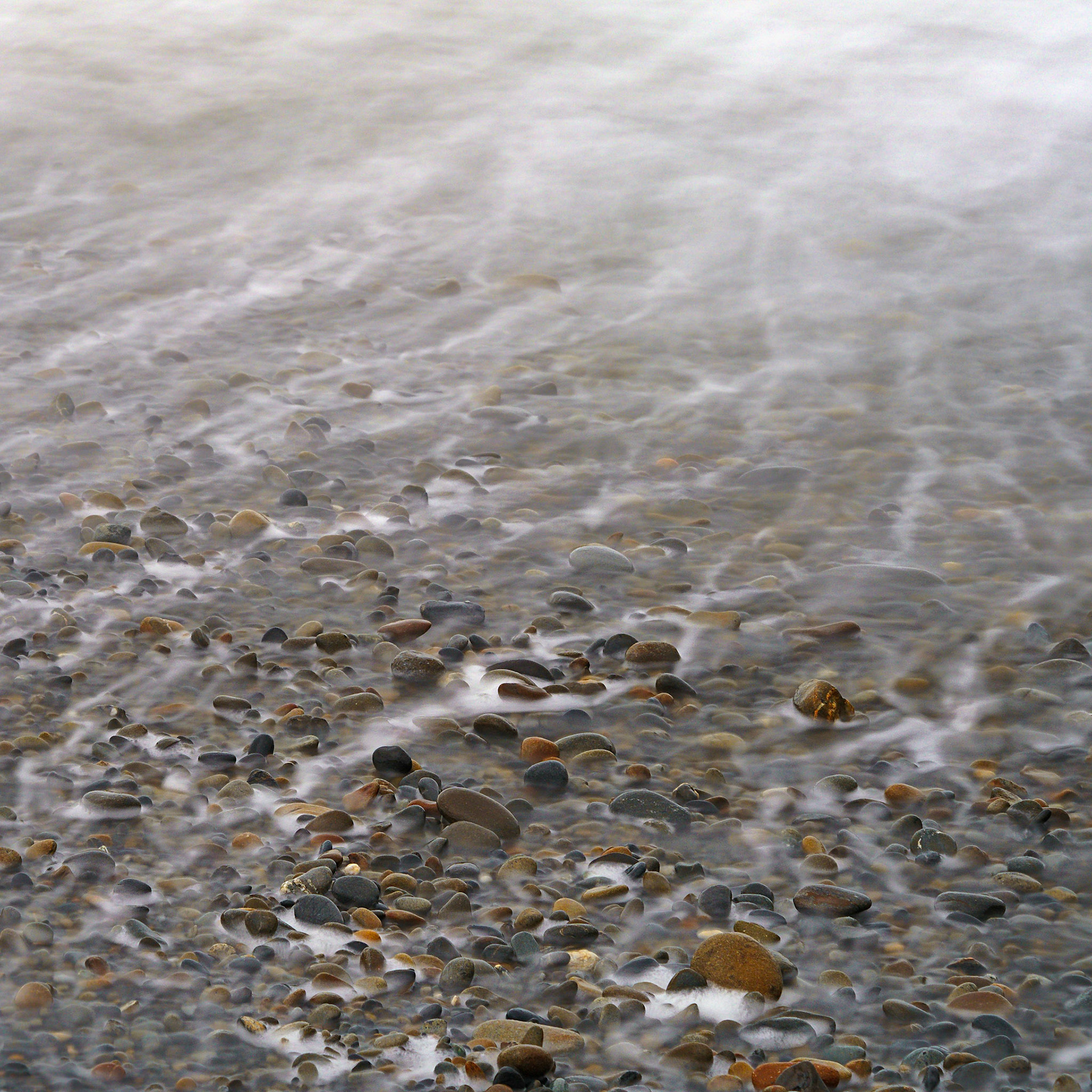 RubyBeach, Kalaloch, March 2022