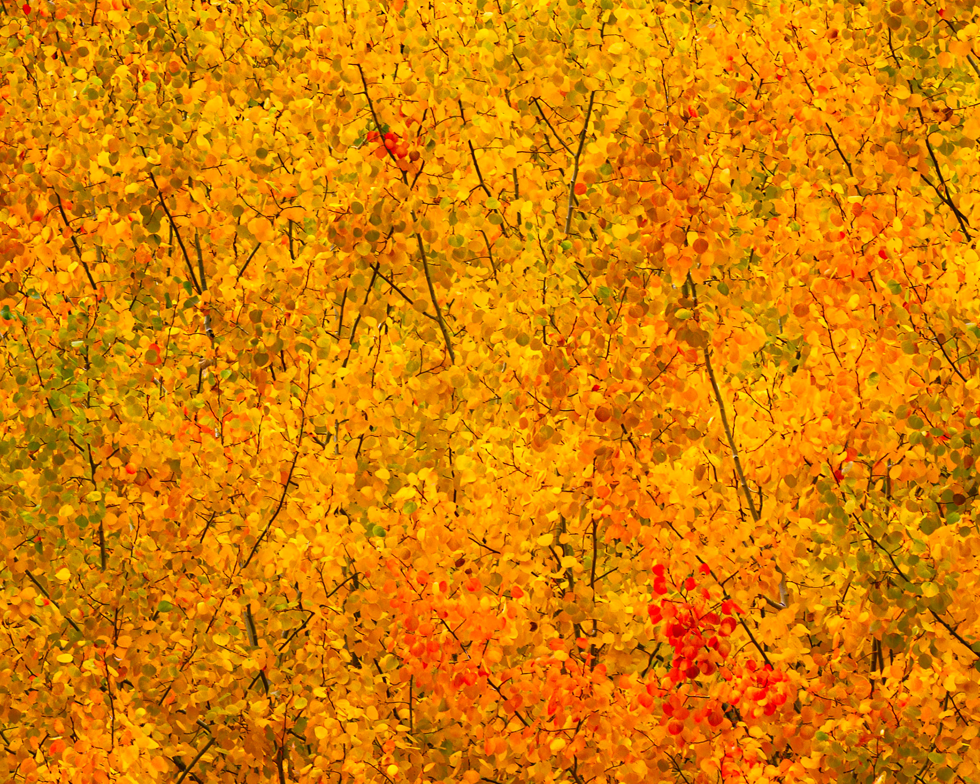 Roundezvous, Oct 2021