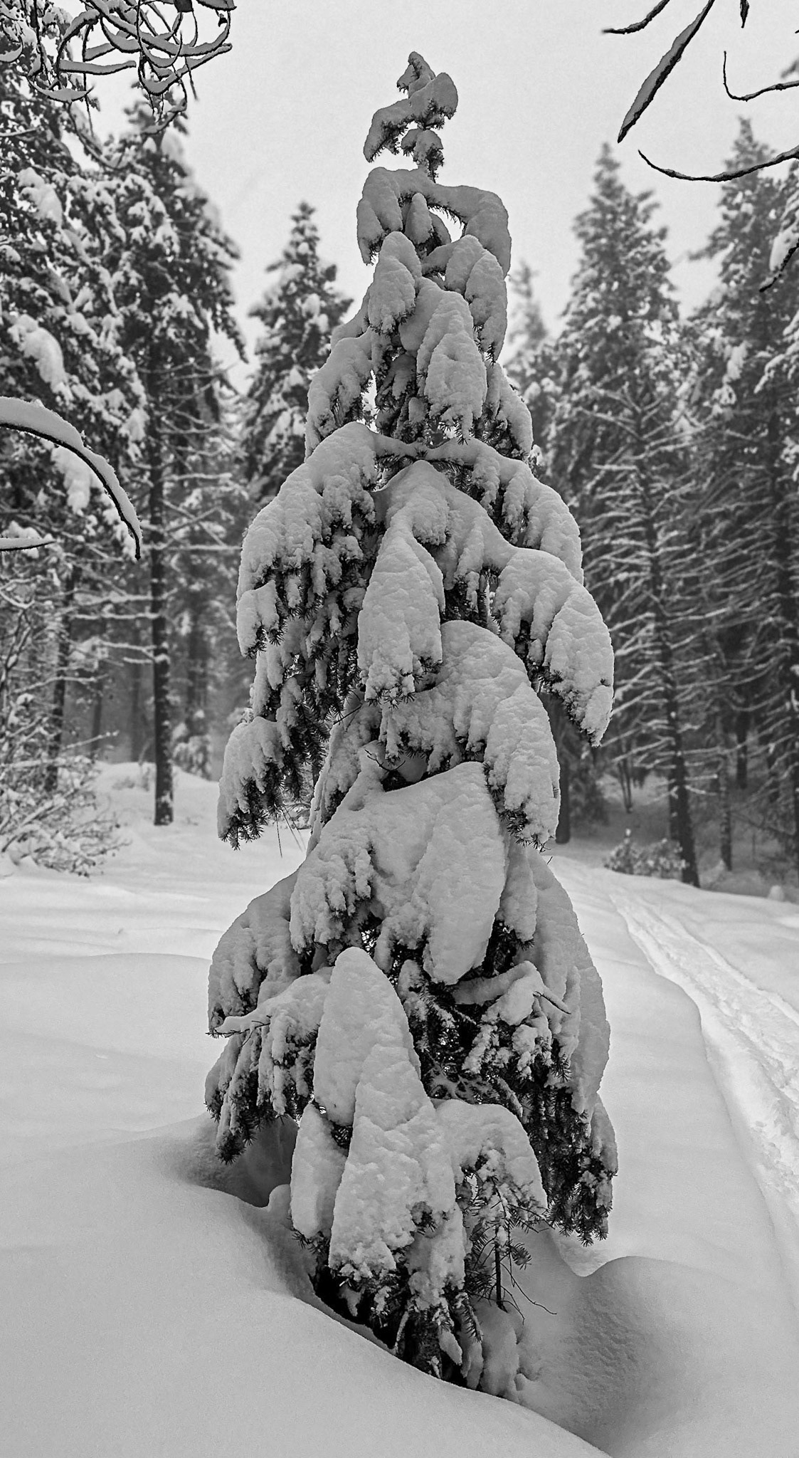 Roundezvous January 2023