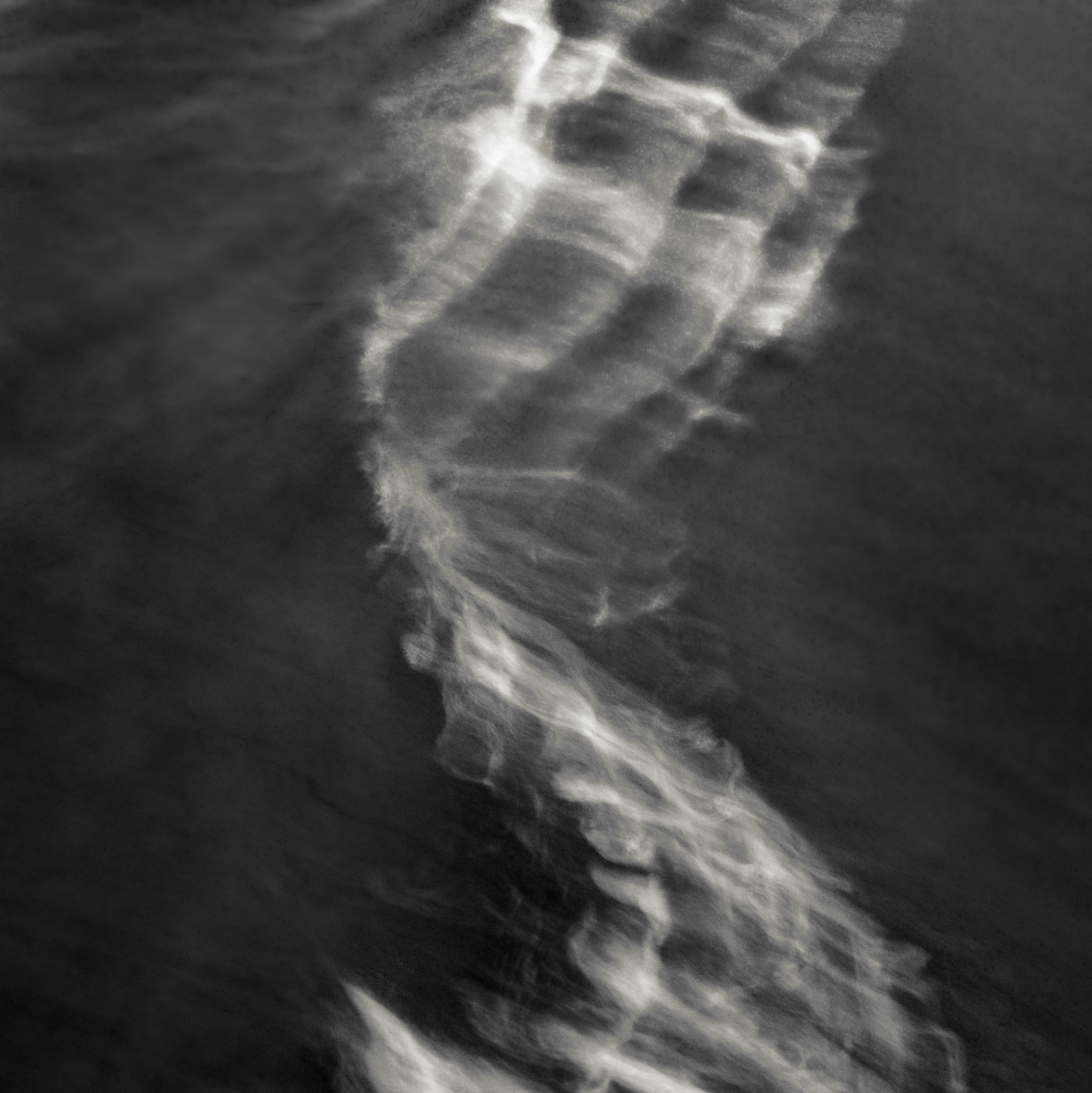 Klipsan Beach Feb2026