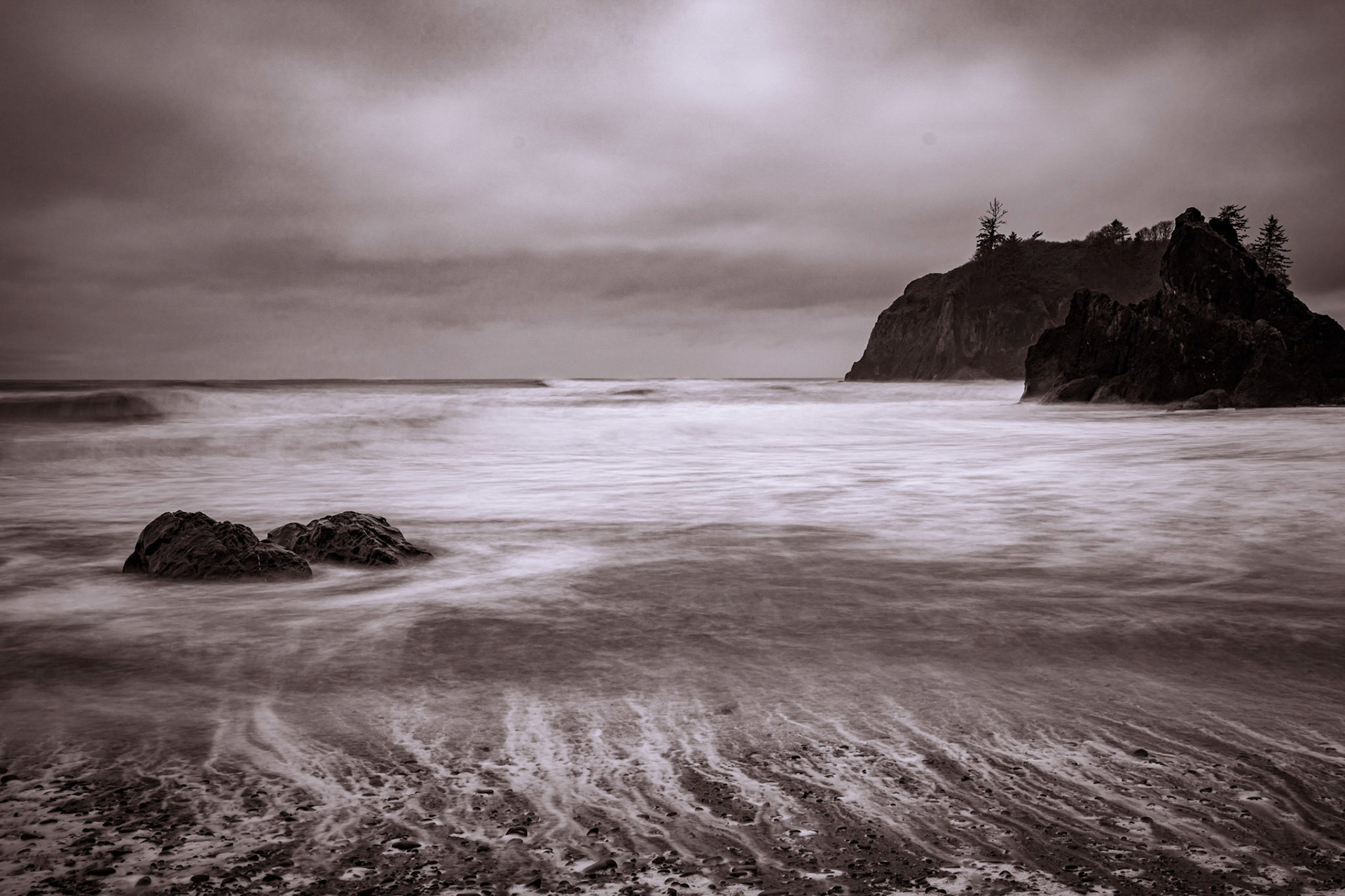 Kalaloch, March 2022