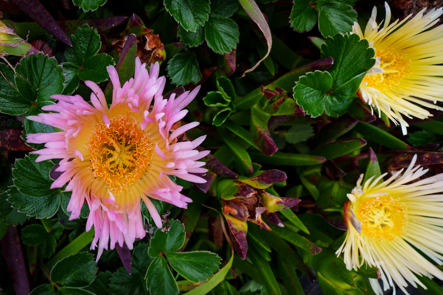 Crescent City CA, April 2025