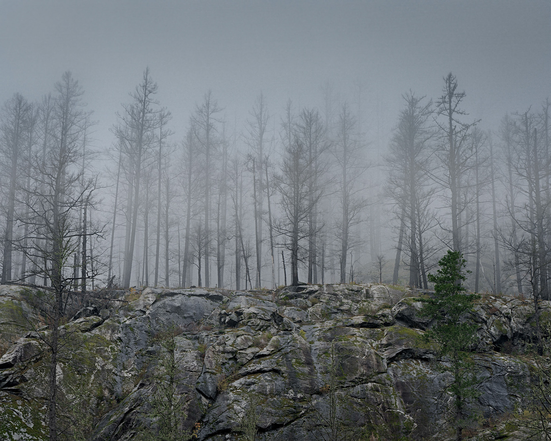 Newhalem, WA  Oct, 2019