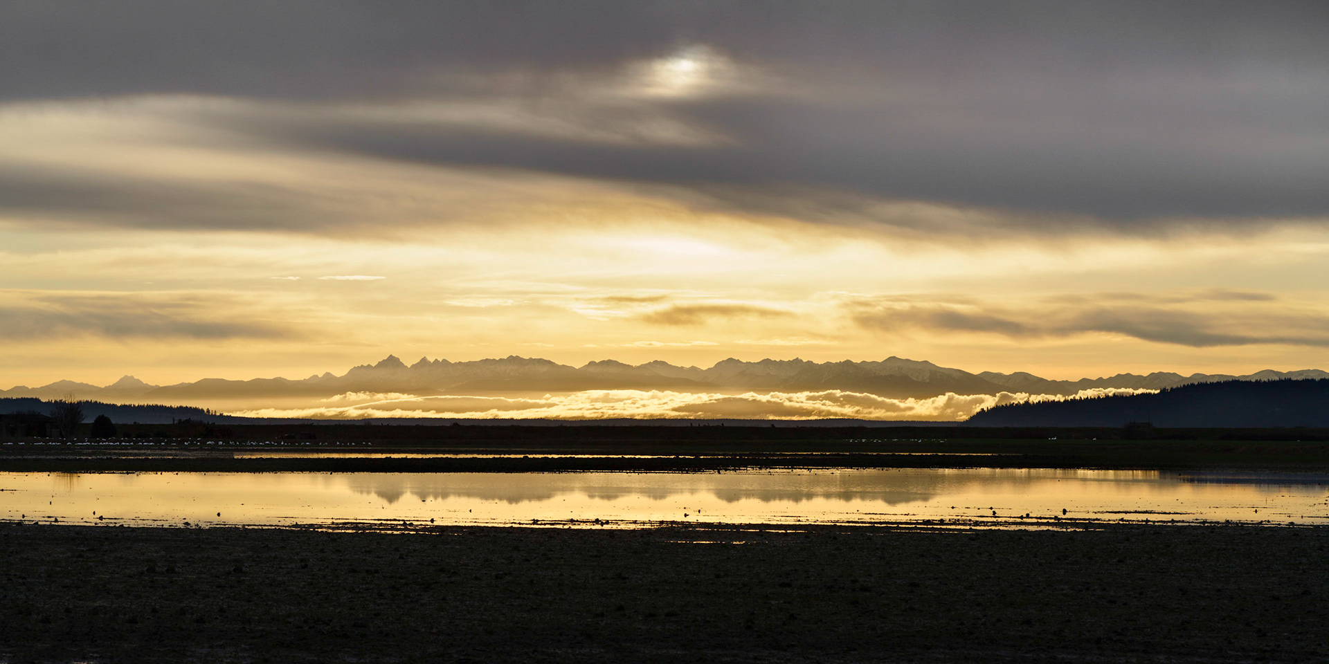 Olympics from Skagit Flats, Jan 2021