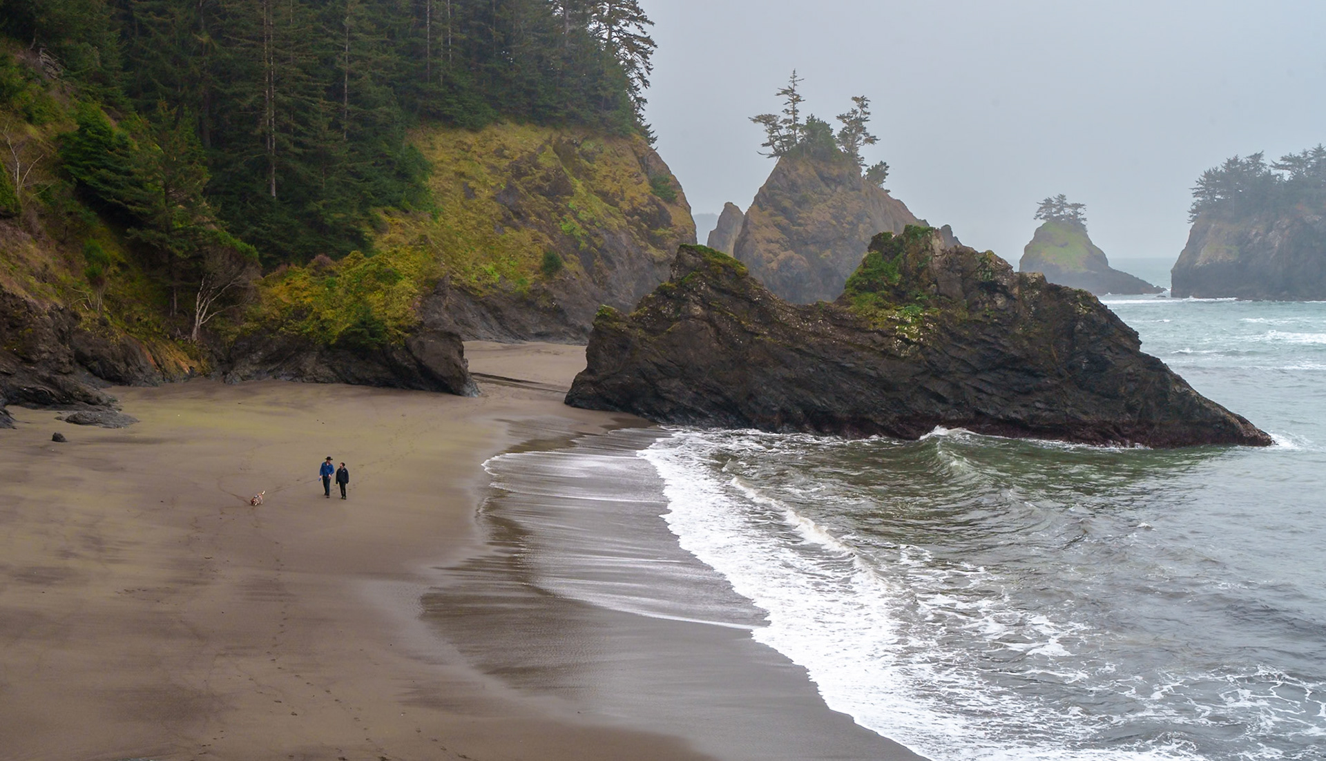 Secret Beach, Boardman S.P. OR, April 2025