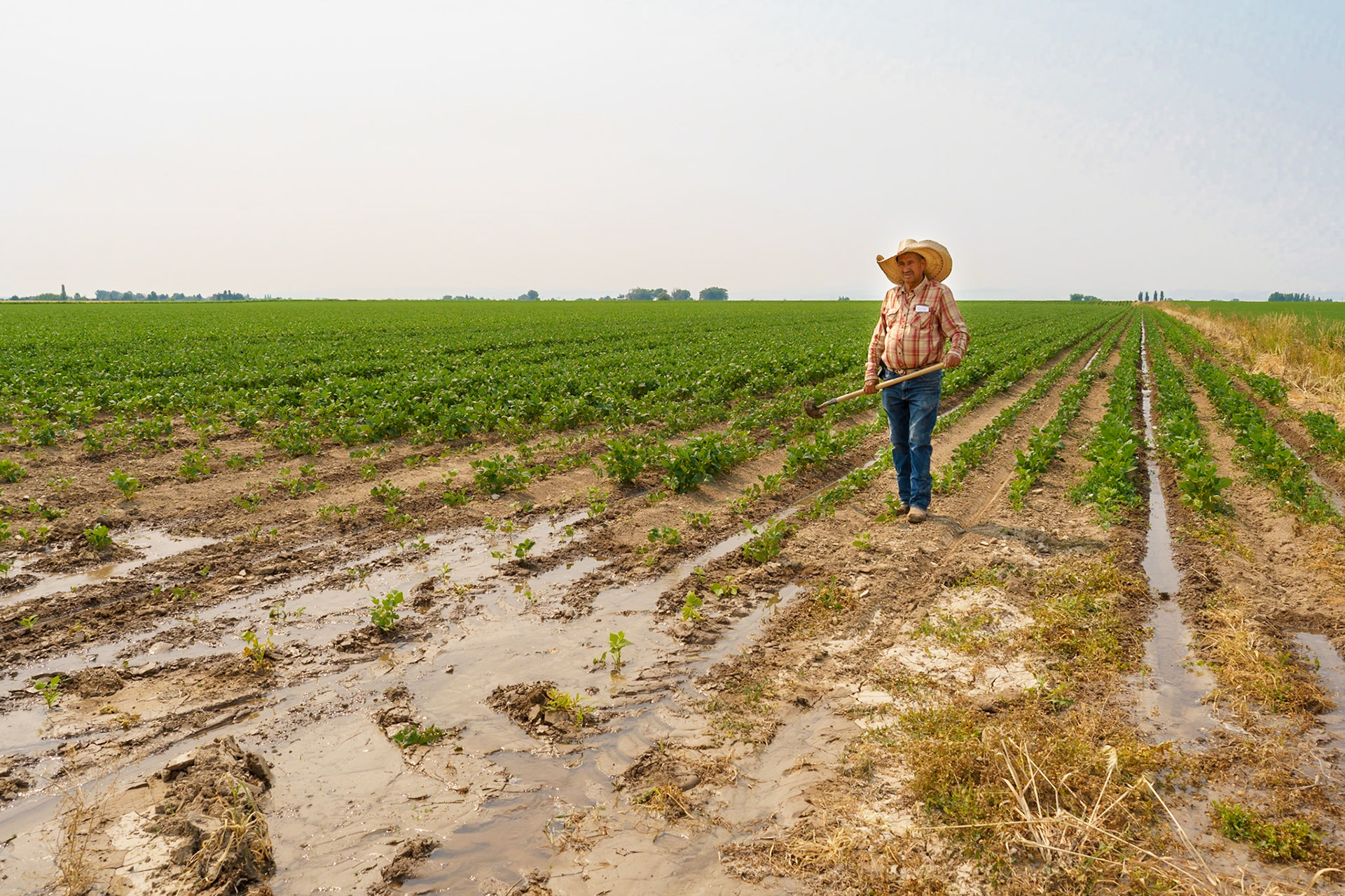 Near Shoshone Falls Idaho, July 2021