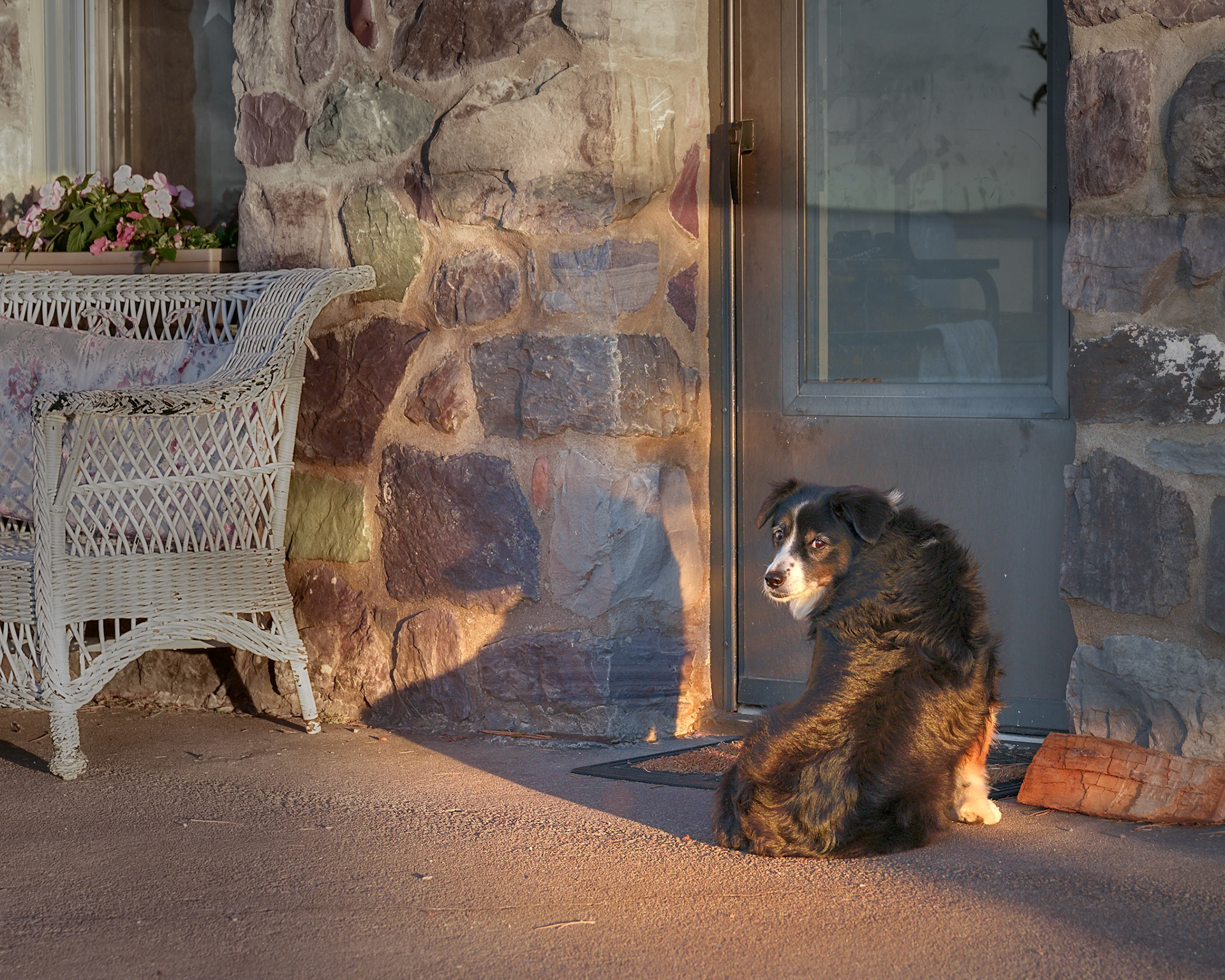 Sasha, ofCarrieSood, Montana June2024