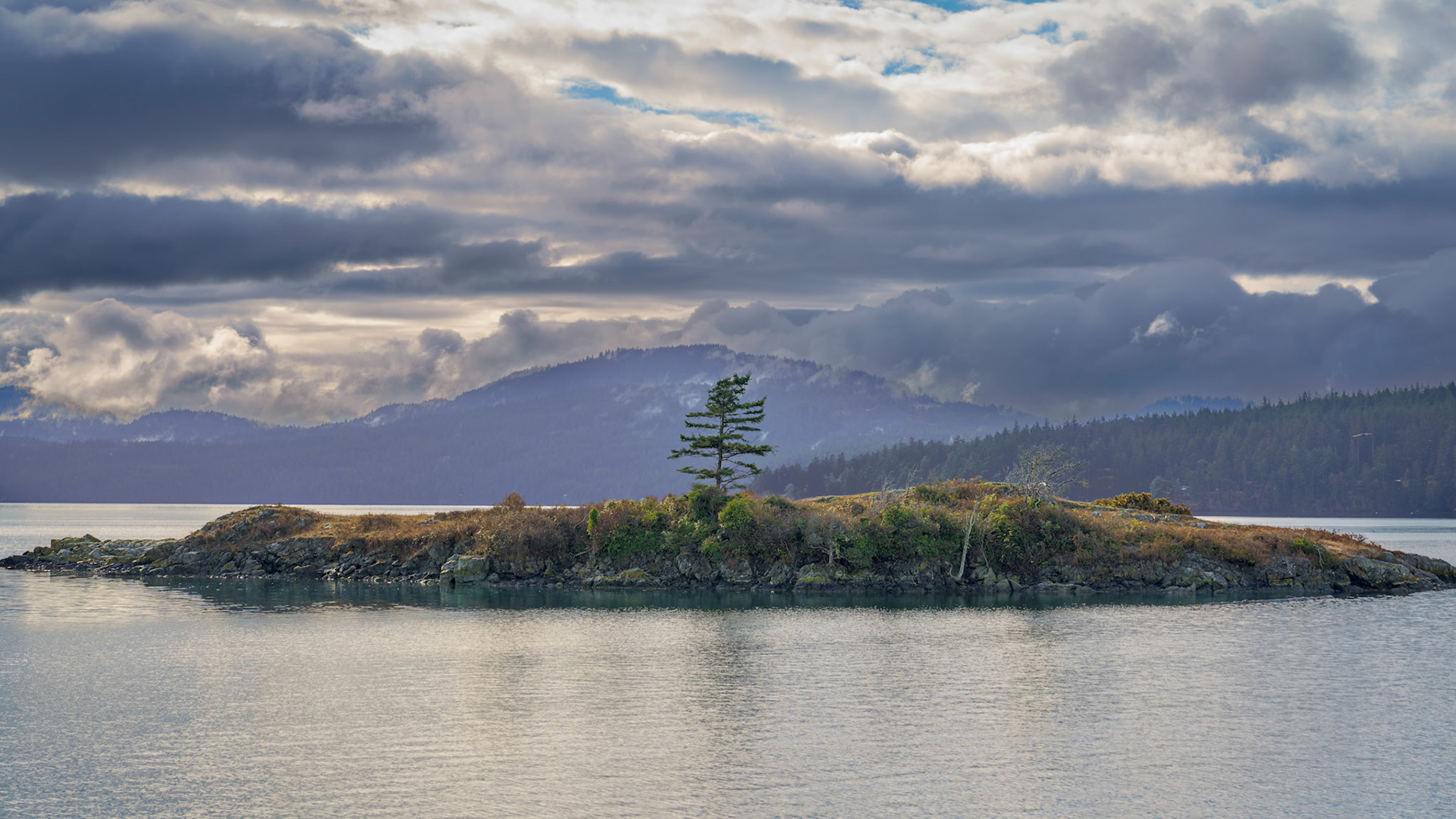 IndianIsland Eastsound OrcasIsland Nov2022