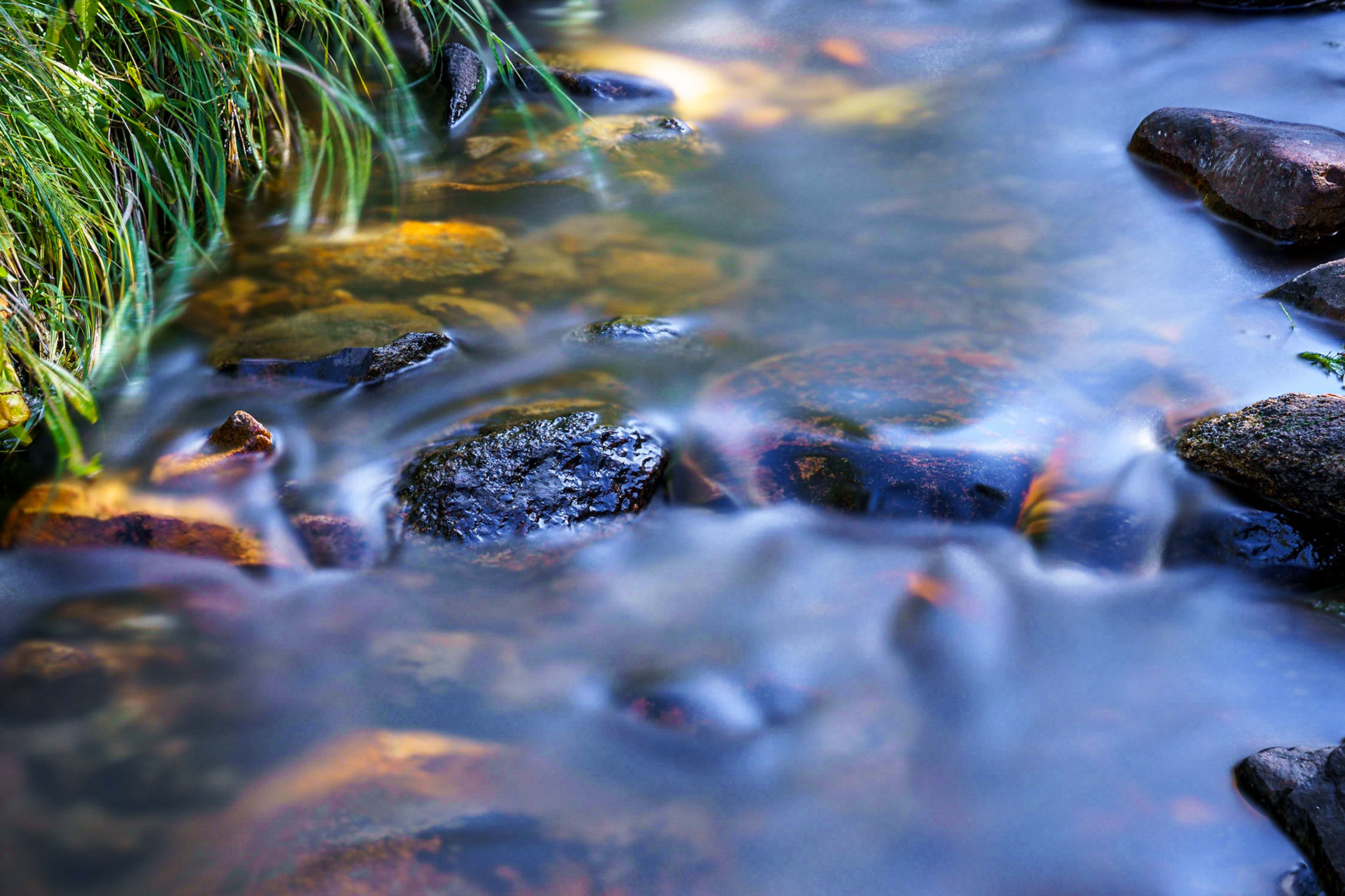 SouthTongueRiver,EastFork Bighorns Sep2022