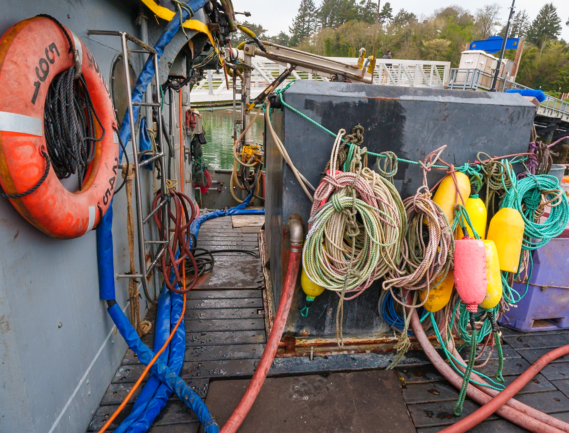 Newport OR, April 2025