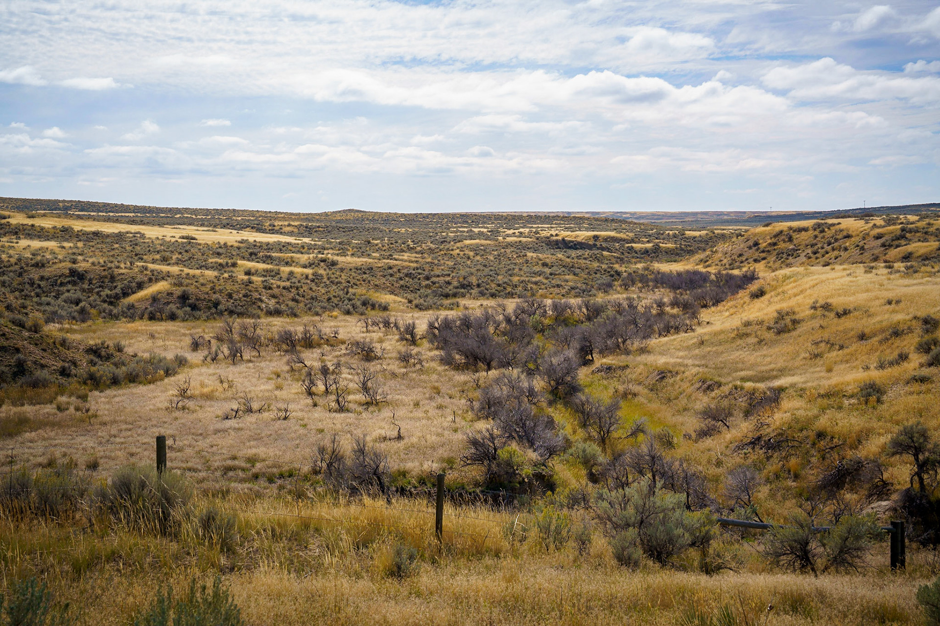 Bighorn Mtns, Sep 2022