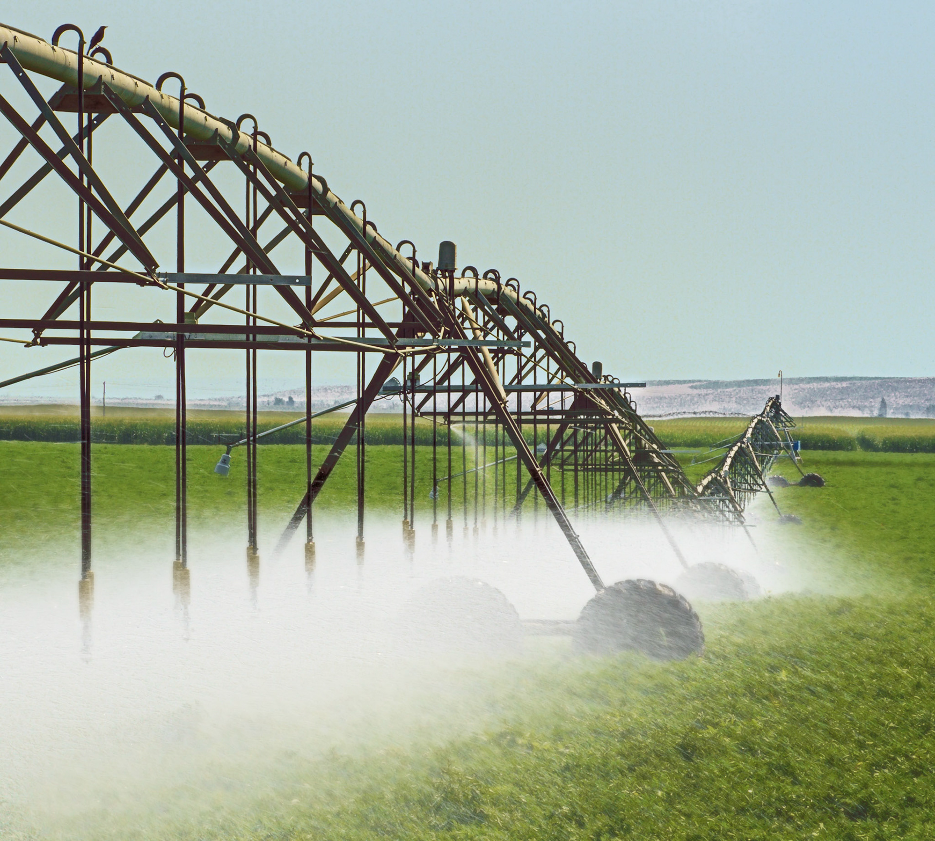 Near Prosser WA, July 2021