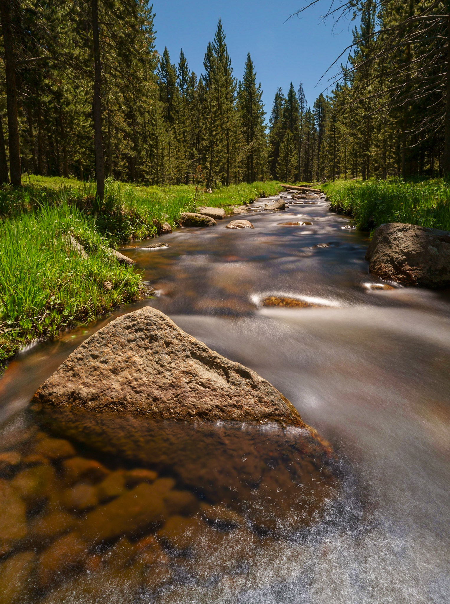 Bighorn Mtns, WY June 2021