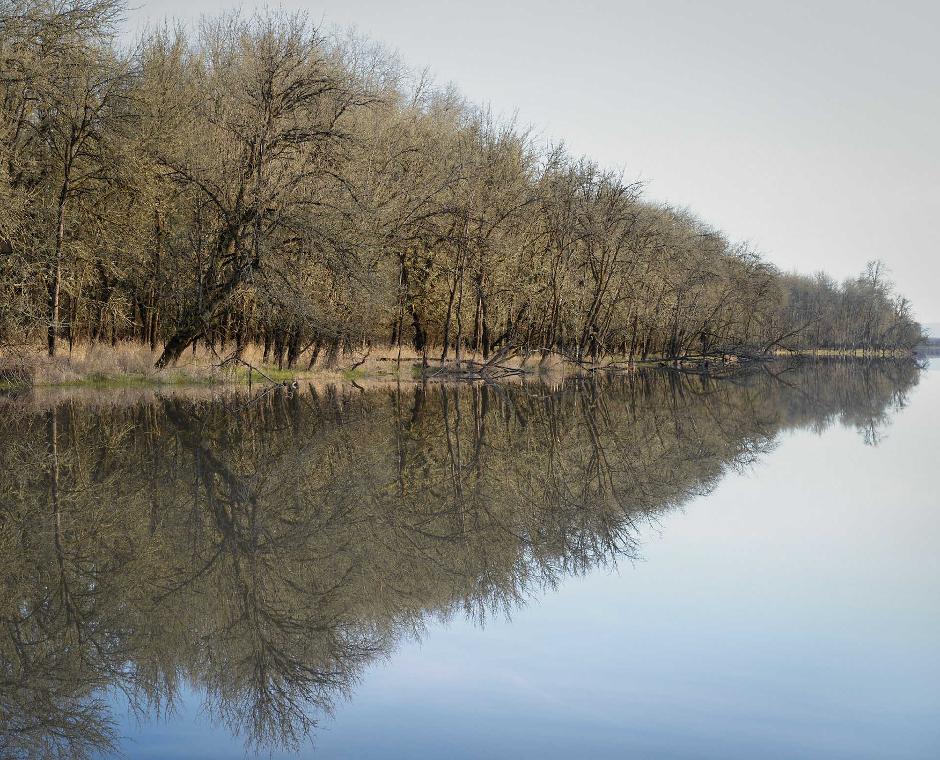 Sauvie Island, OR  Feb, 2020