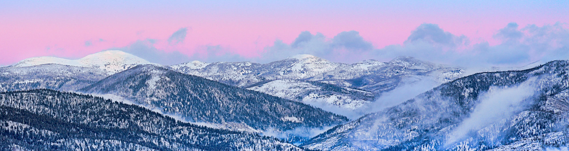 From Yurt Deck, Jan 2020