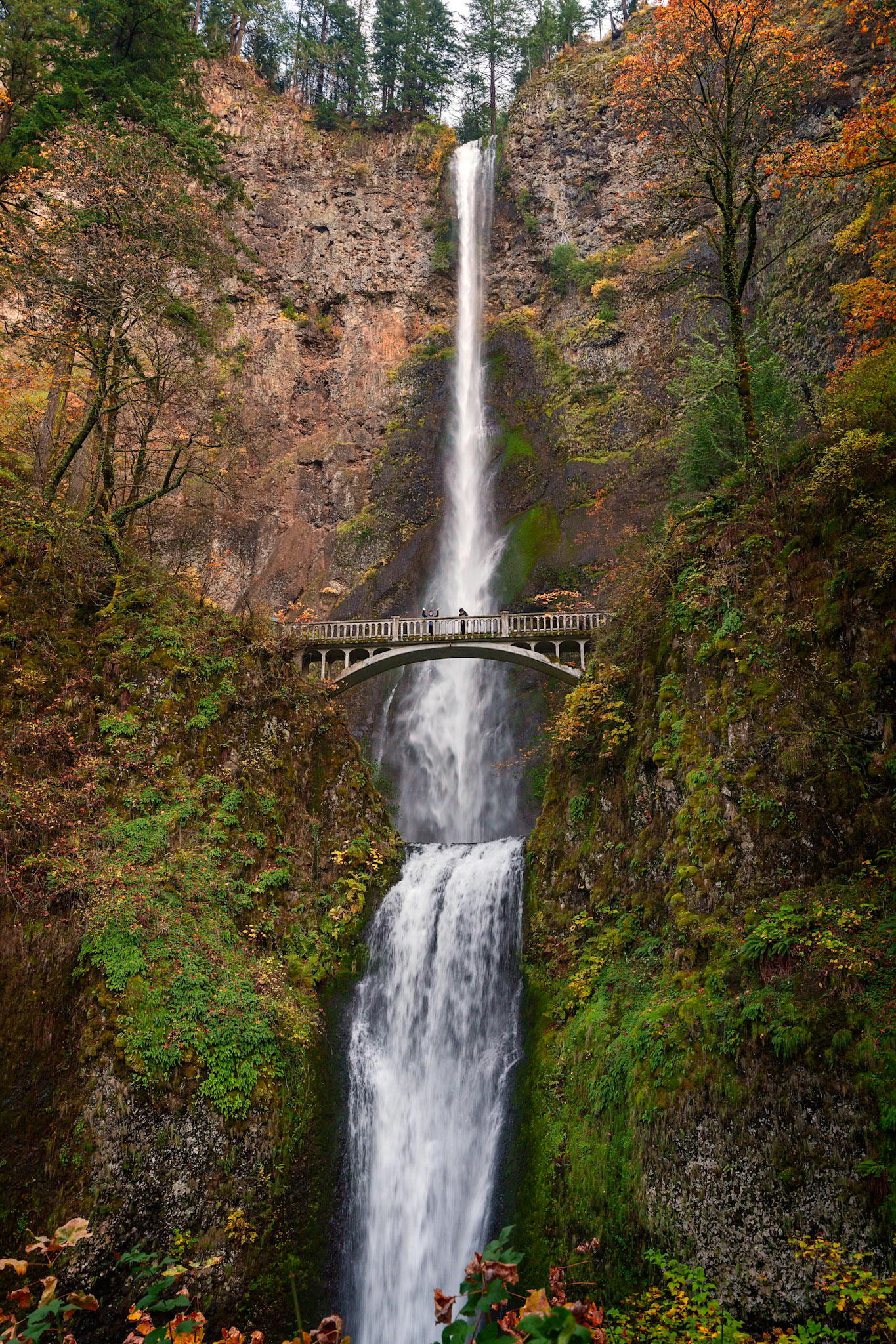 MultnomahFalls OR, Nov2024