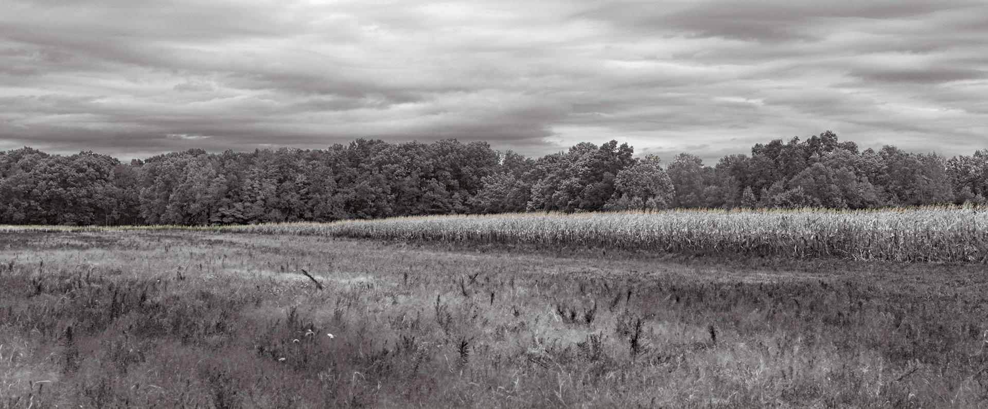 Stockbridge MI, Sep 2019