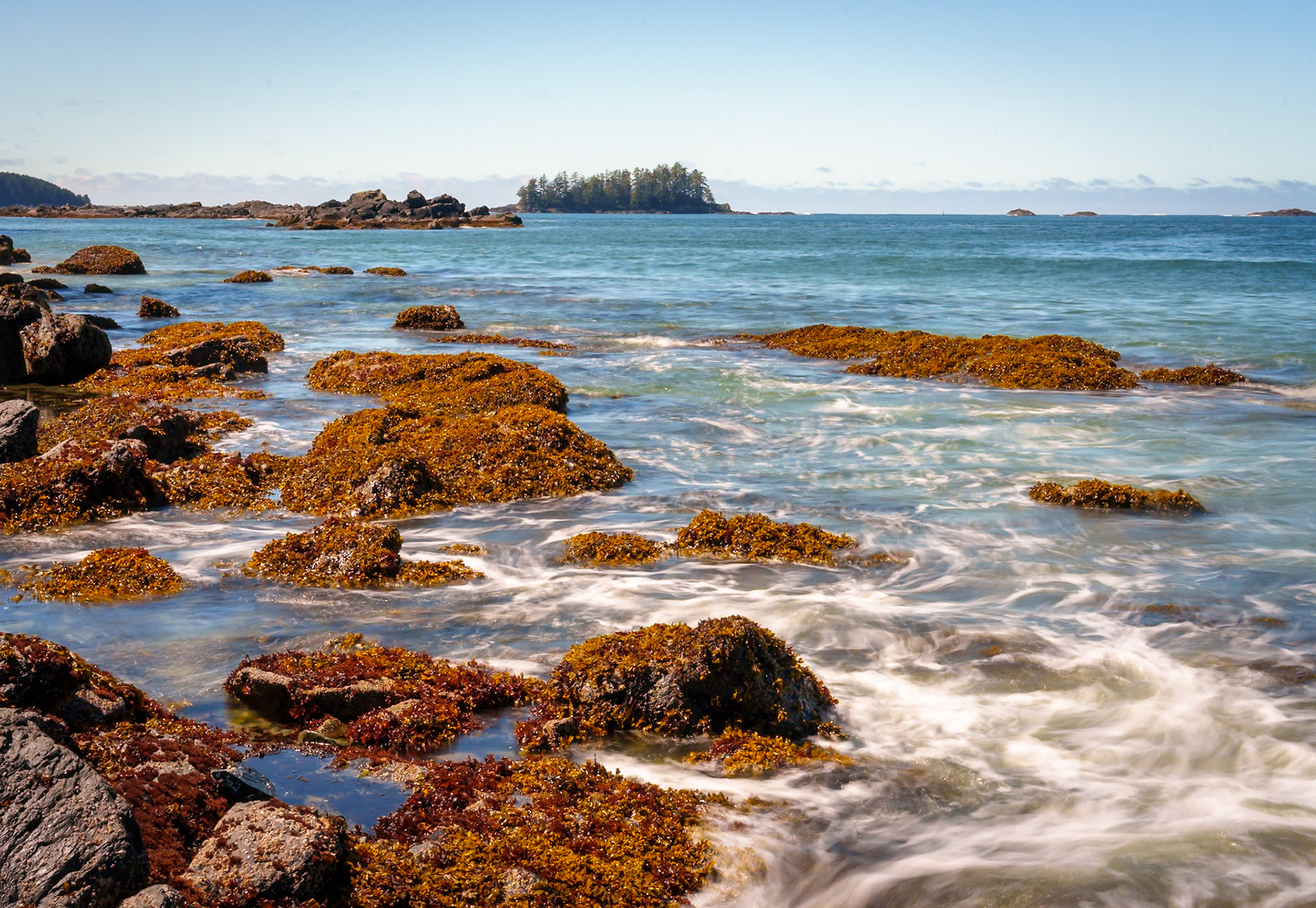 Tofino, May 2025