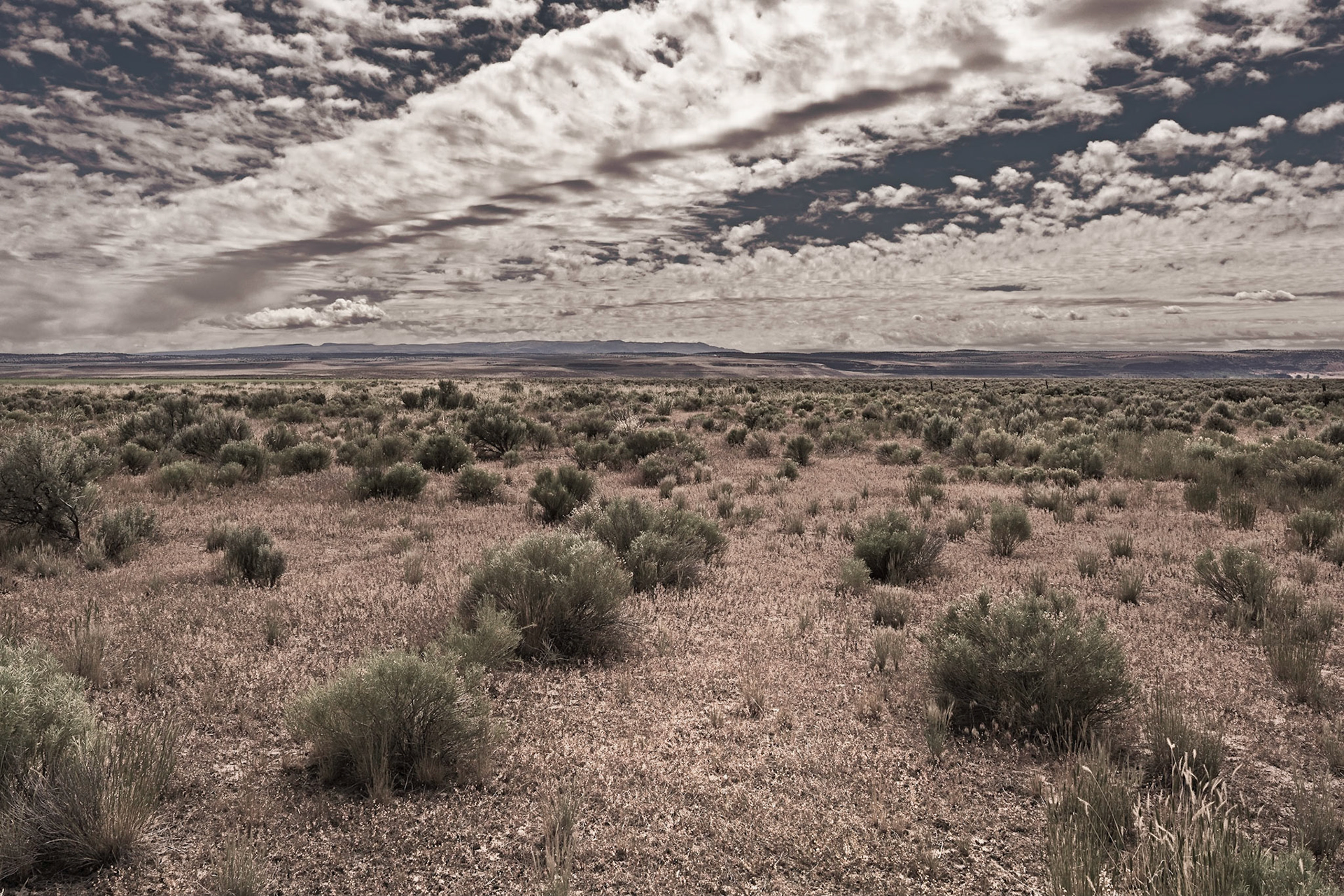 Malheur, OR  June, 2018