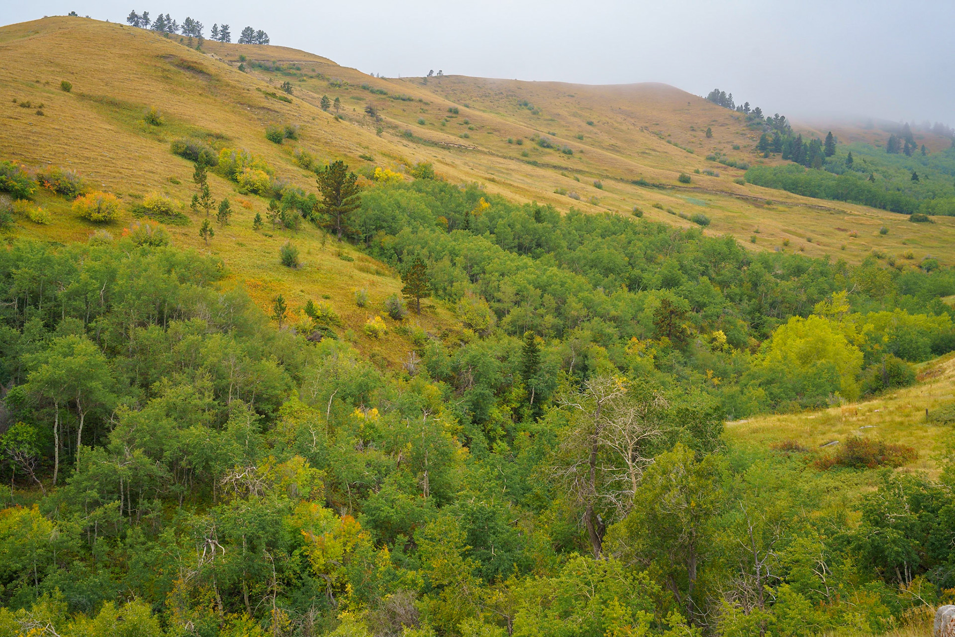 Bighorn Mtns, Sep 2022
