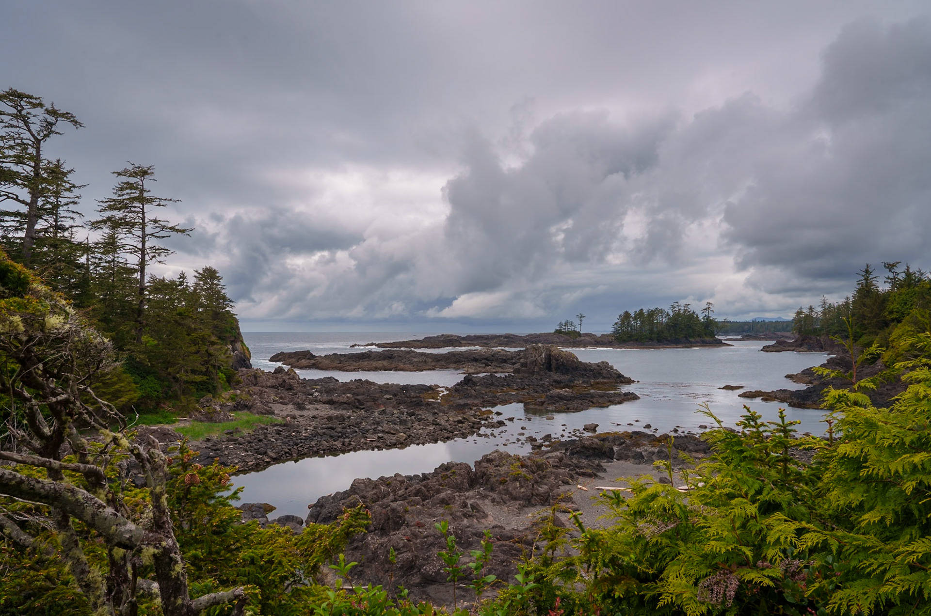 Tofino, May 2025