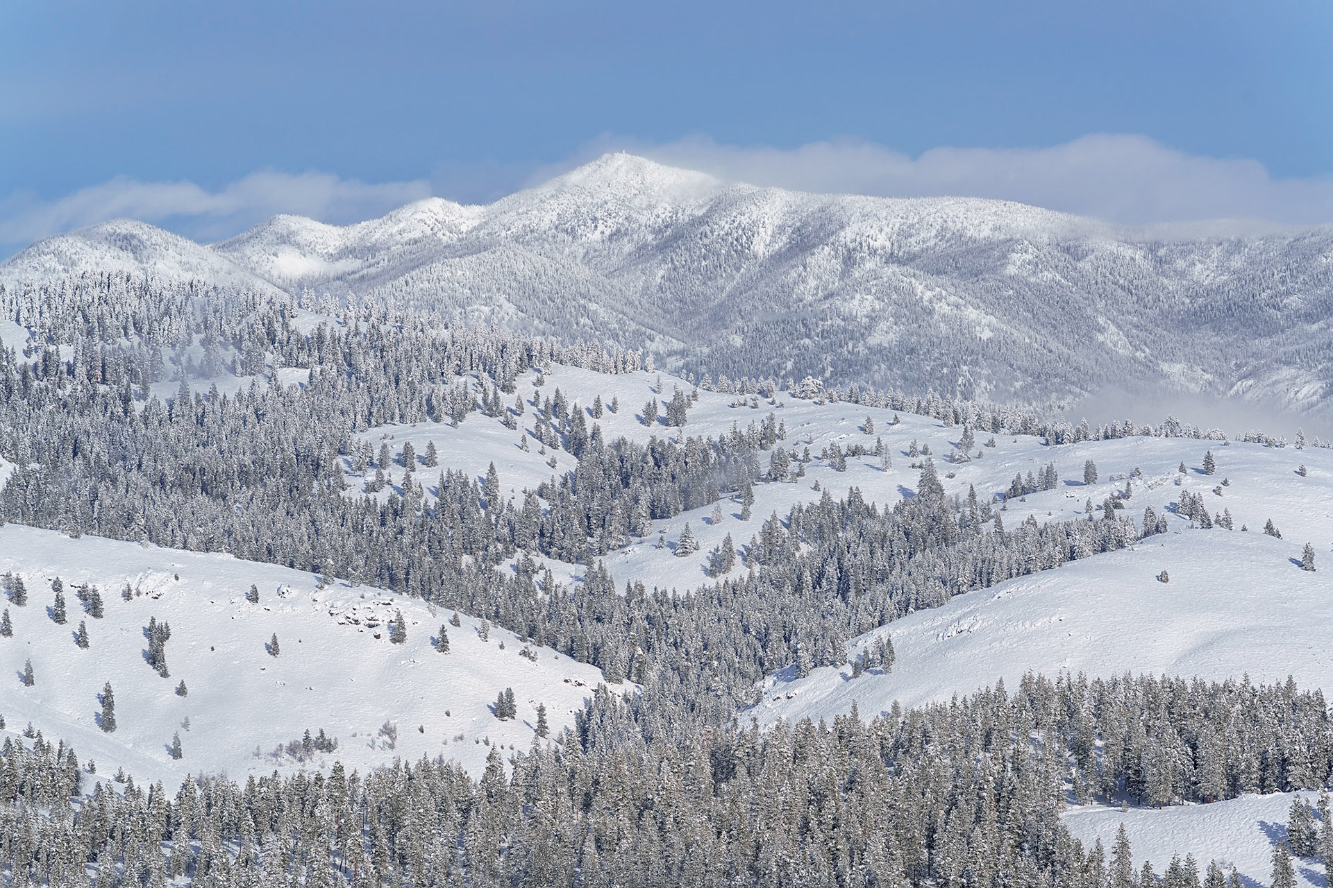 From yurt deck, Jan 2021