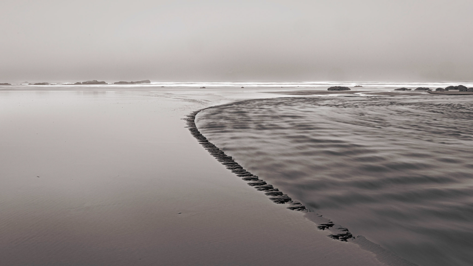 Kalaloch Creek, March 2022